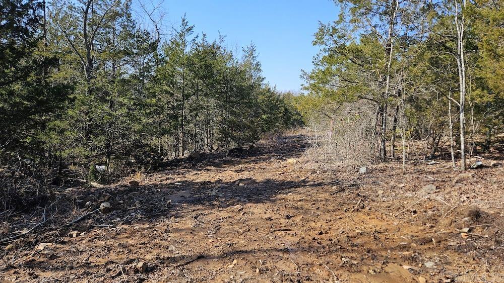 Photo 22 - Vacant Land for sale – Tract A  Rocky Road   Bradford, AR