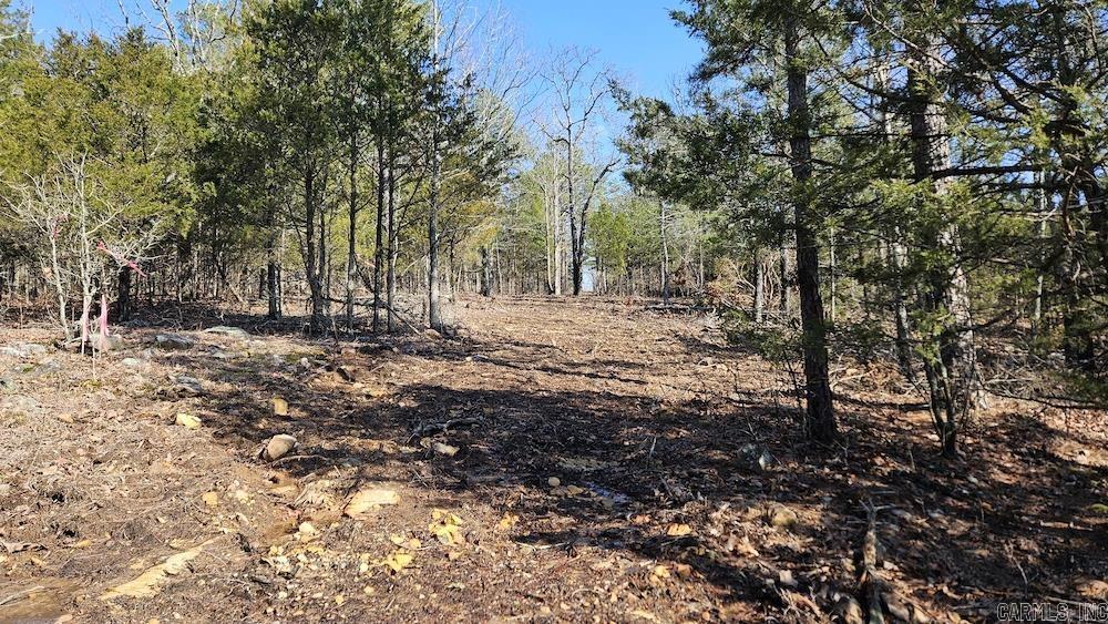 Photo 23 - Vacant Land for sale – Tract A  Rocky Road   Bradford, AR