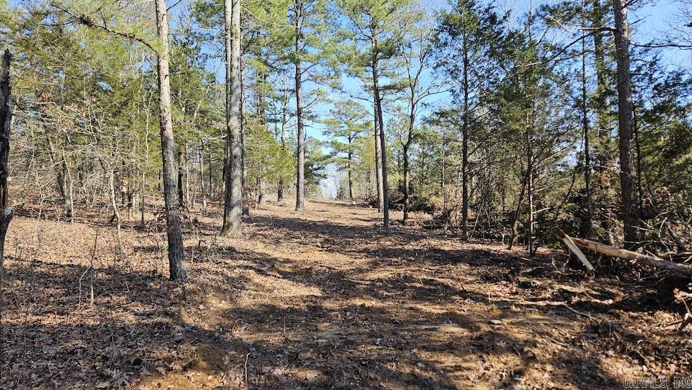Photo 24 - Vacant Land for sale – Tract A  Rocky Road   Bradford, AR