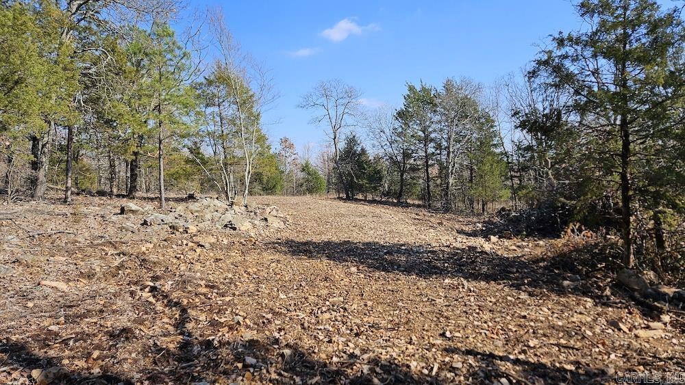 Photo 25 - Vacant Land for sale – Tract A  Rocky Road   Bradford, AR