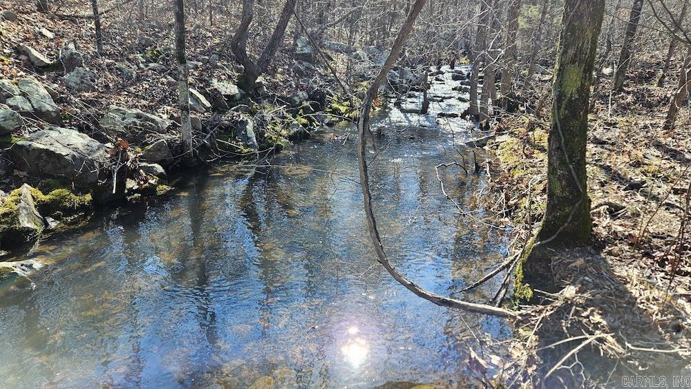 Photo 4 - Vacant Land for sale – Tract A  Rocky Road   Bradford, AR