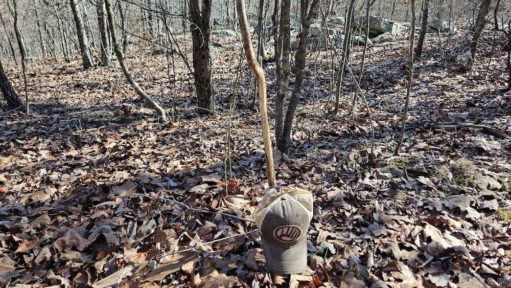 Photo 5 - Vacant Land for sale – Tract A  Rocky Road   Bradford, AR