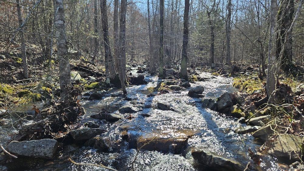 Photo 9 - Vacant Land for sale – Tract A  Rocky Road   Bradford, AR