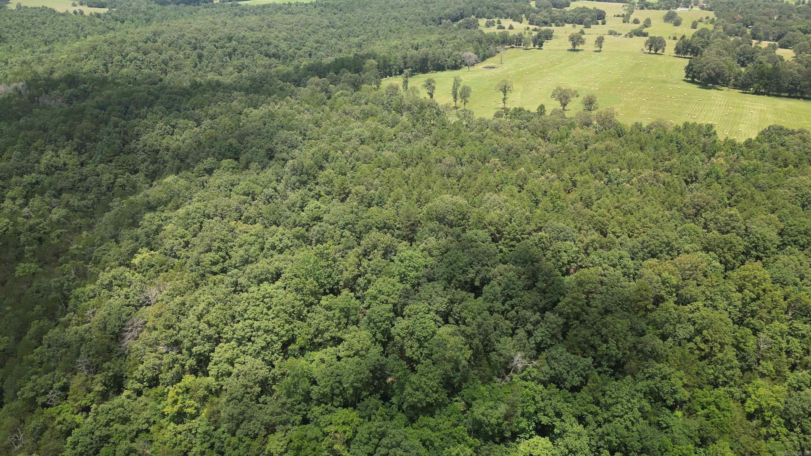 Photo 2 - Residential for sale – 881  Driftwood Drive   Pineville, AR