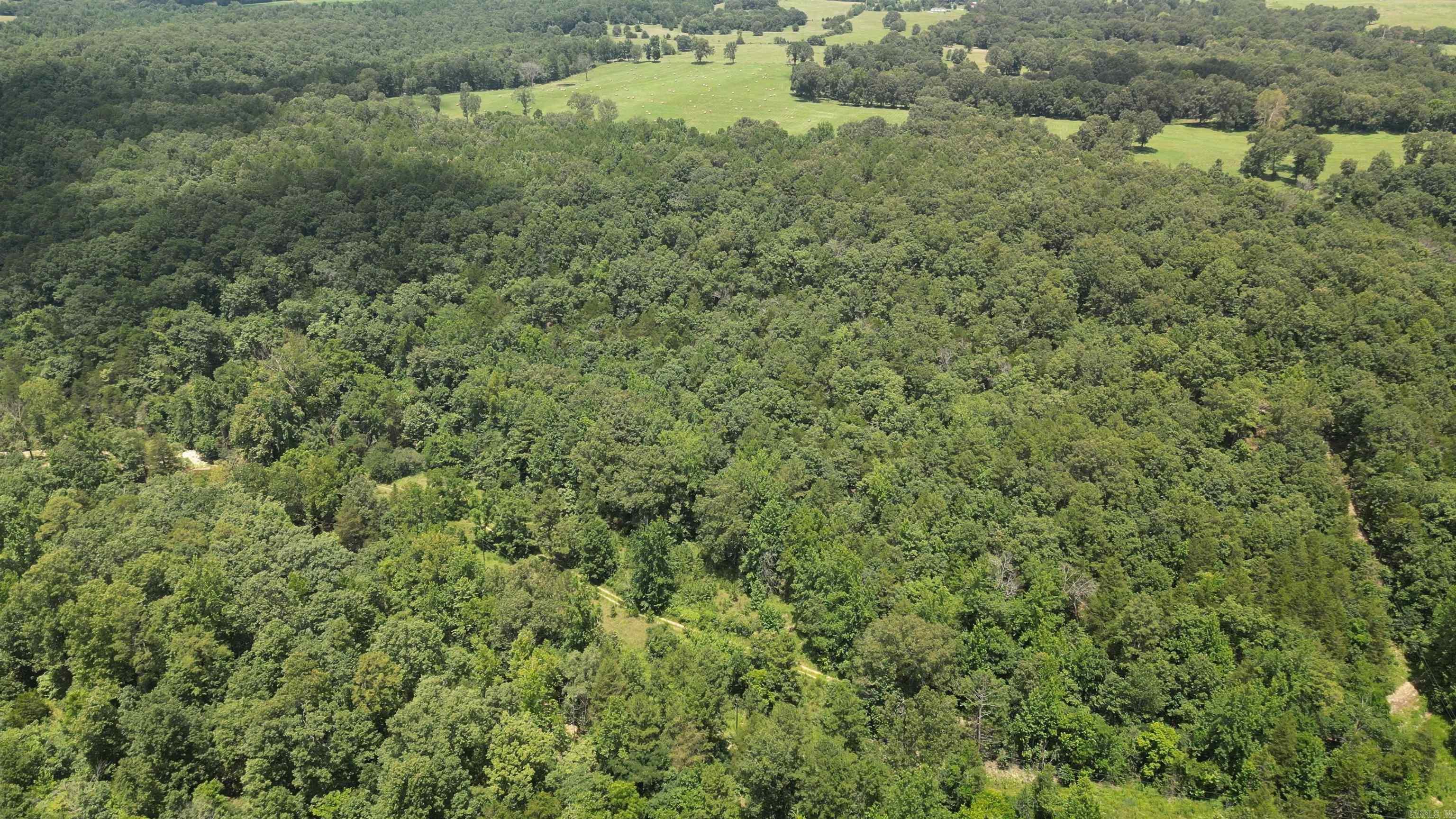 Photo 3 - Residential for sale – 881  Driftwood Drive   Pineville, AR