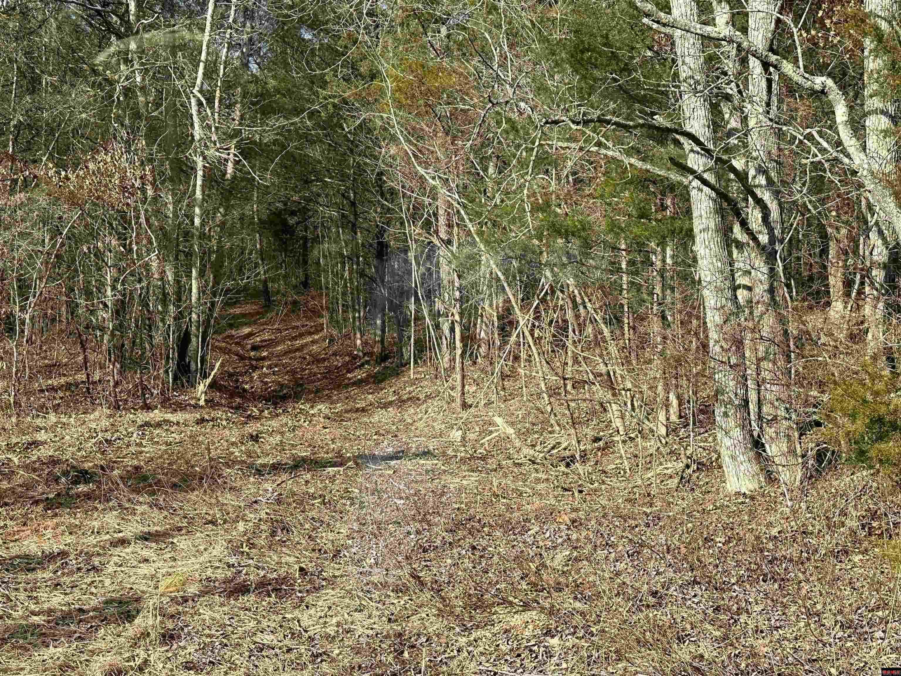 Photo 28 - Residential for sale – 881  Driftwood Drive   Pineville, AR