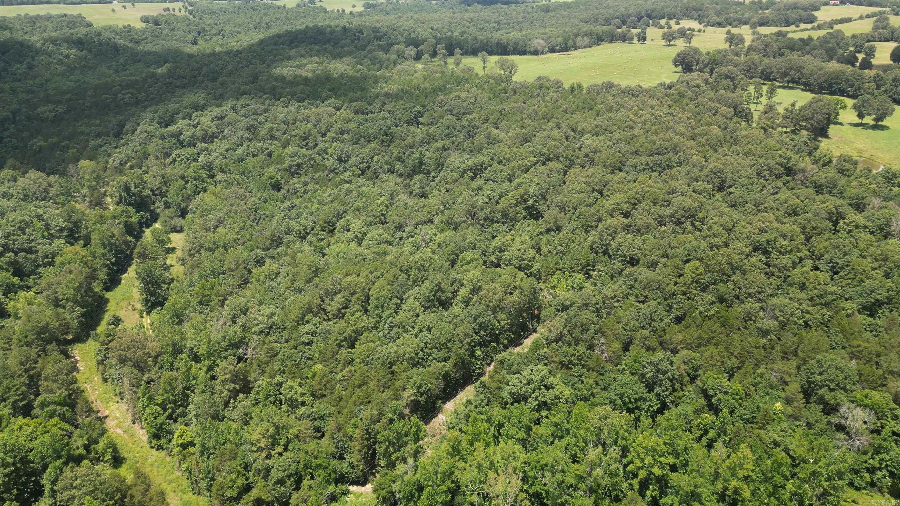 Photo 4 - Residential for sale – 881  Driftwood Drive   Pineville, AR