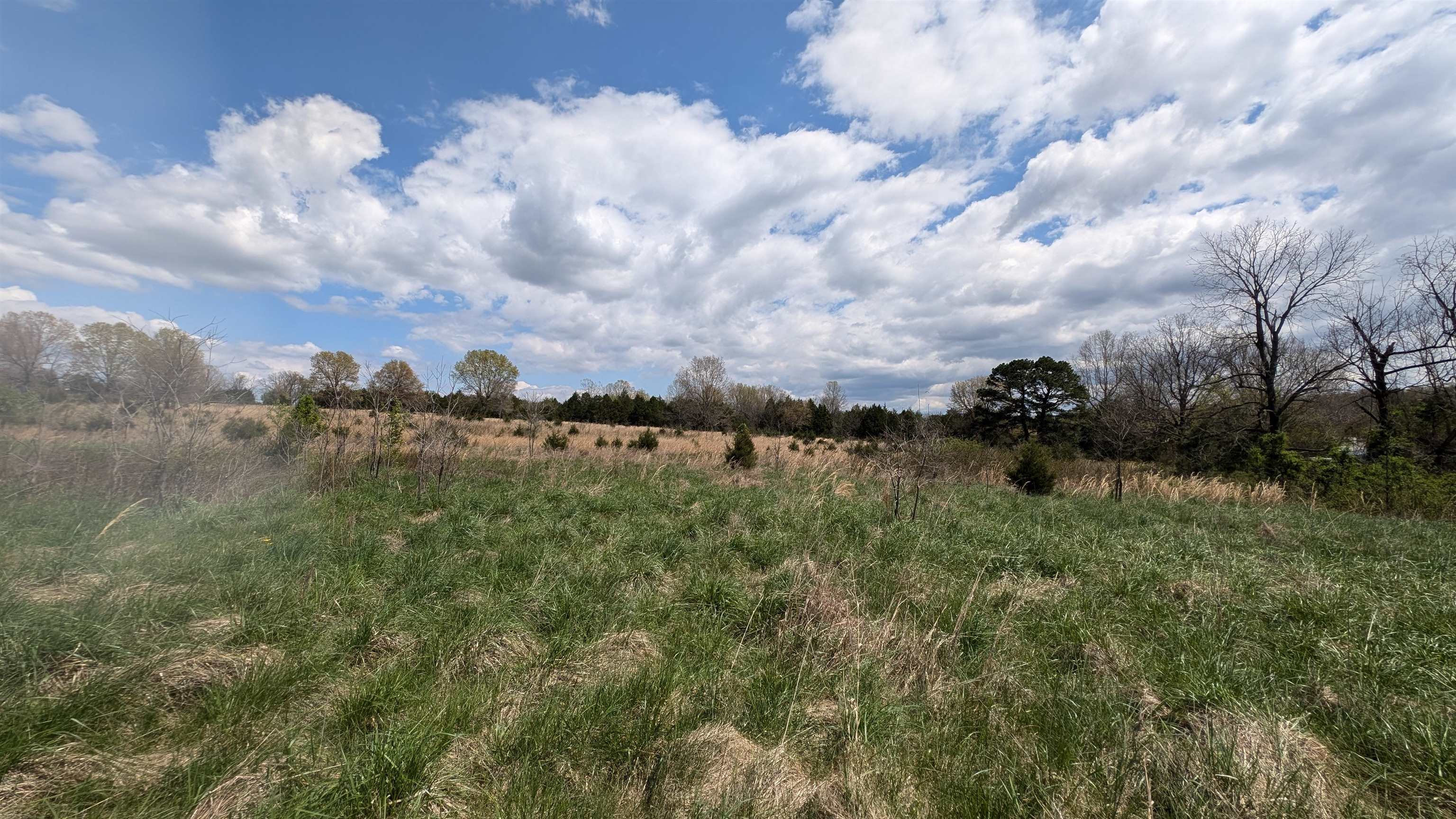 Photo 2 - Vacant Land for sale –   56   Ash Flat, AR