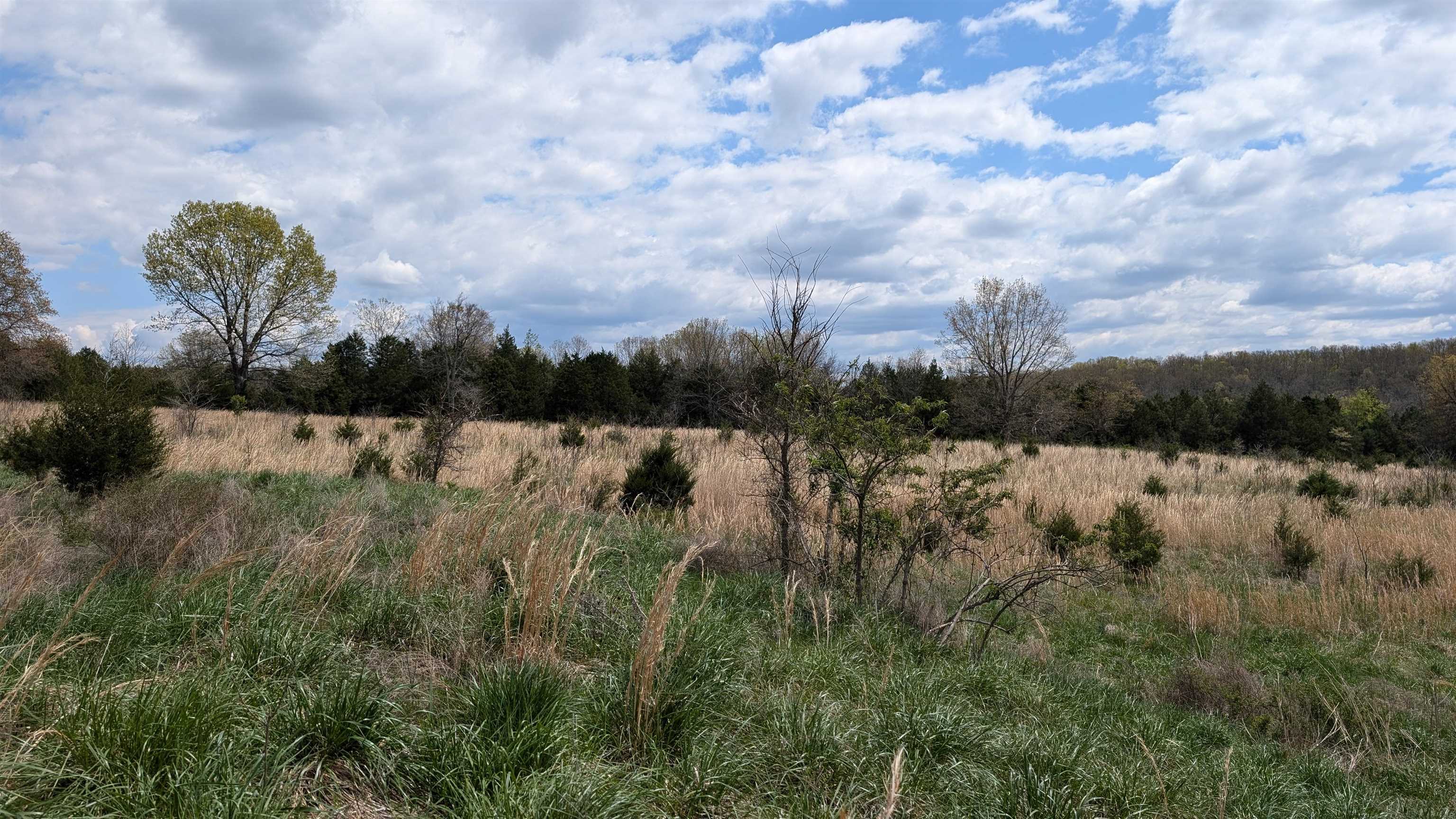 Photo 11 - Vacant Land for sale –   56   Ash Flat, AR