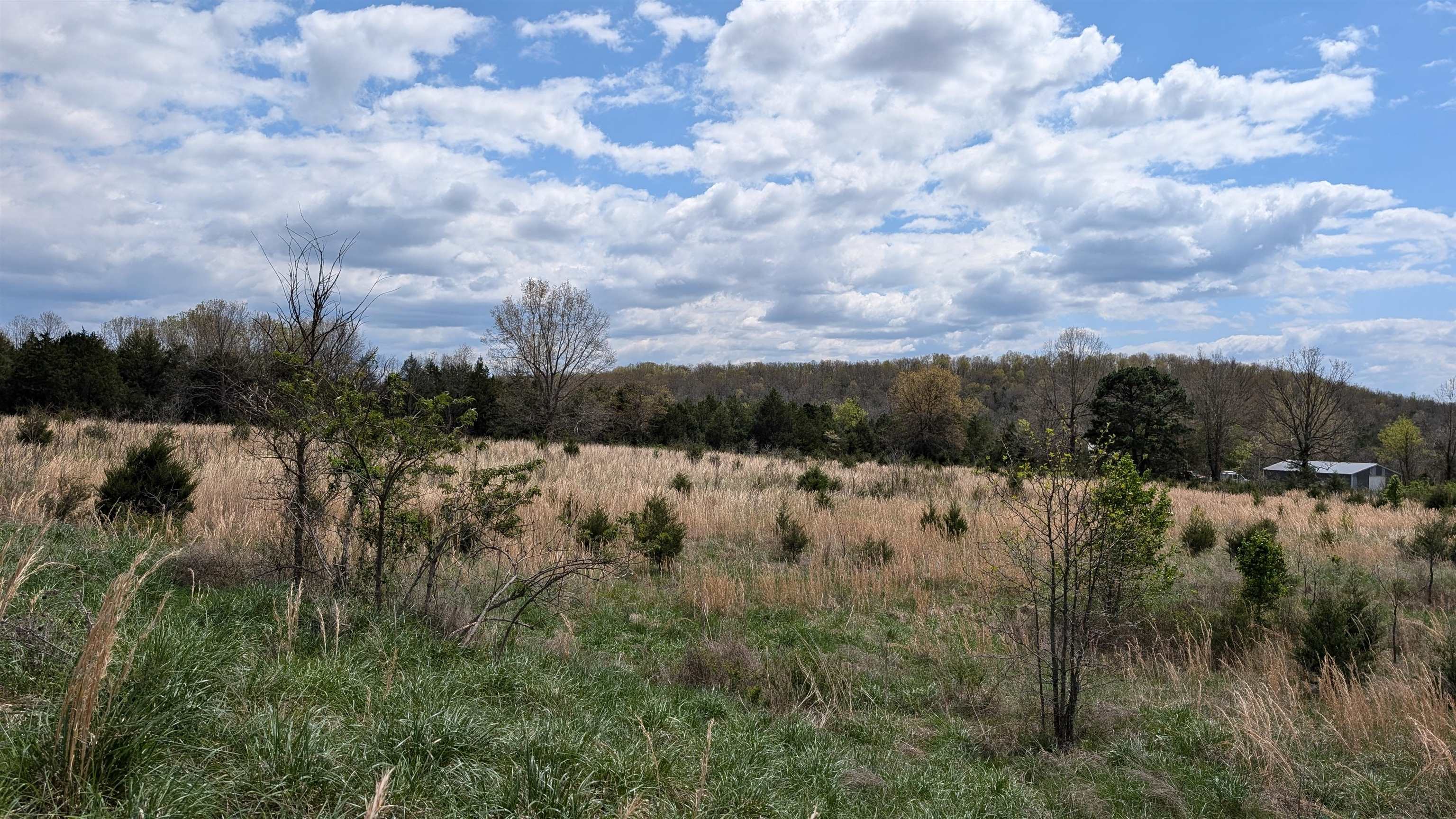 Photo 12 - Vacant Land for sale –   56   Ash Flat, AR