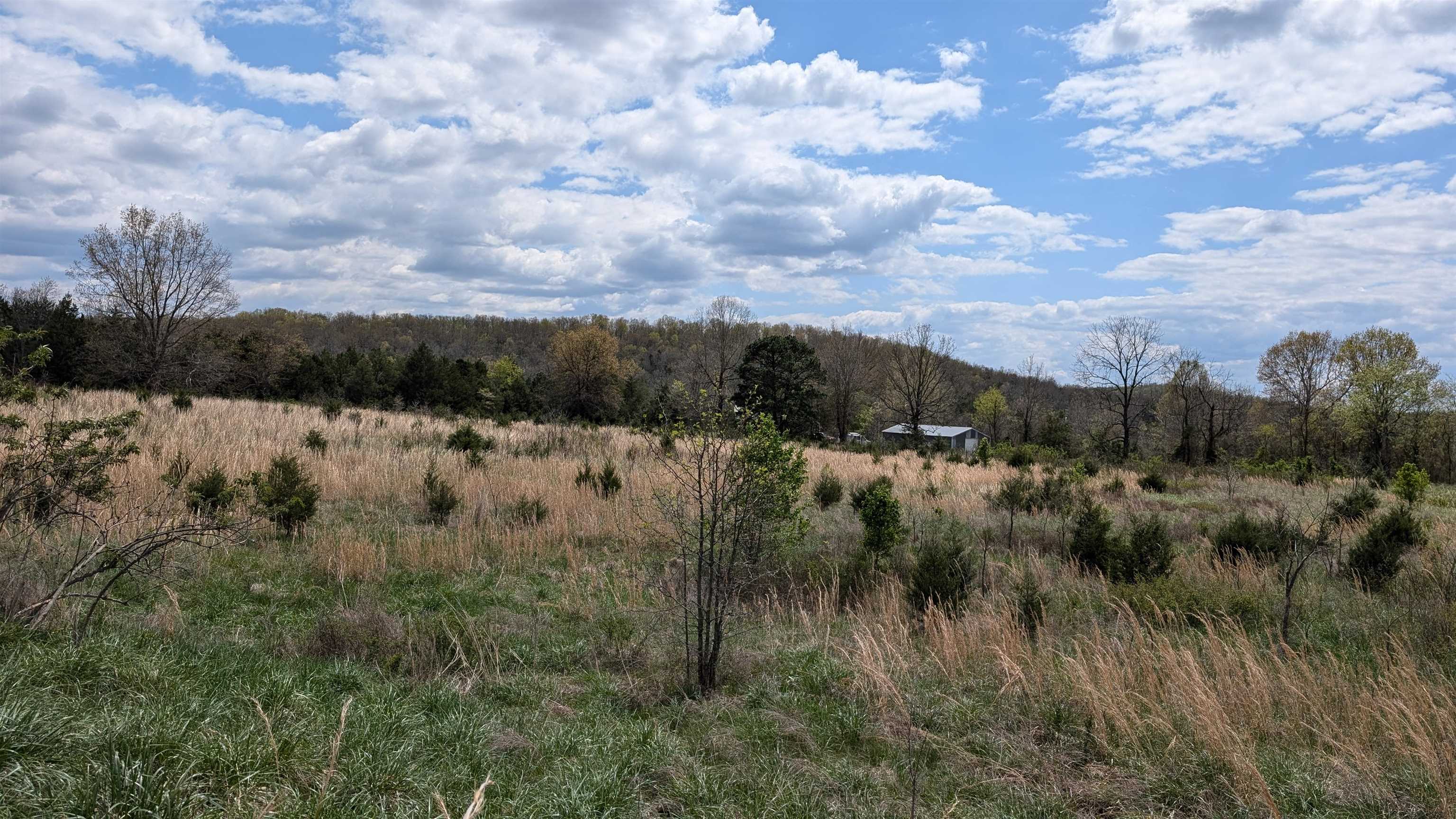 Photo 13 - Vacant Land for sale –   56   Ash Flat, AR