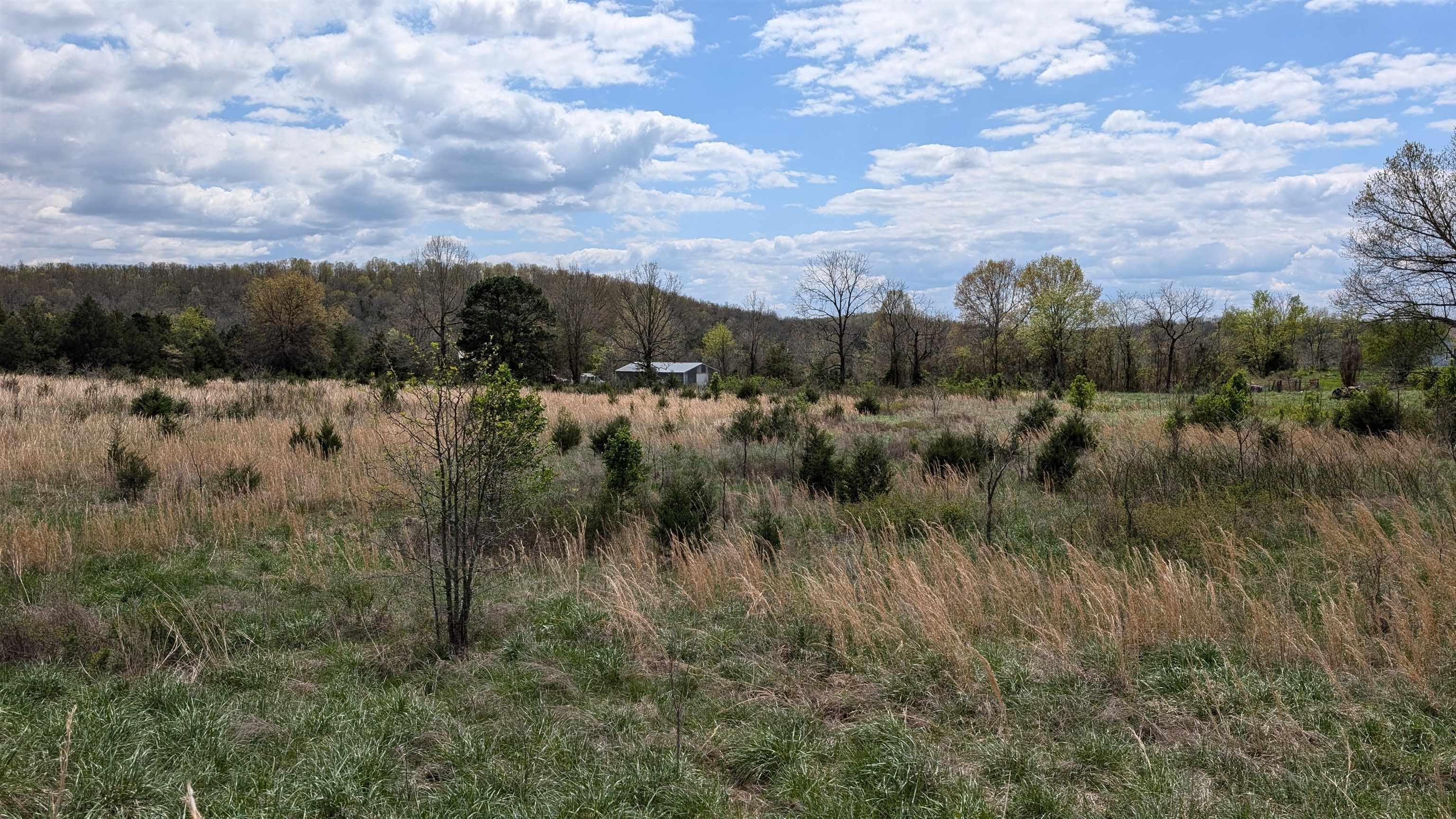 Photo 14 - Vacant Land for sale –   56   Ash Flat, AR