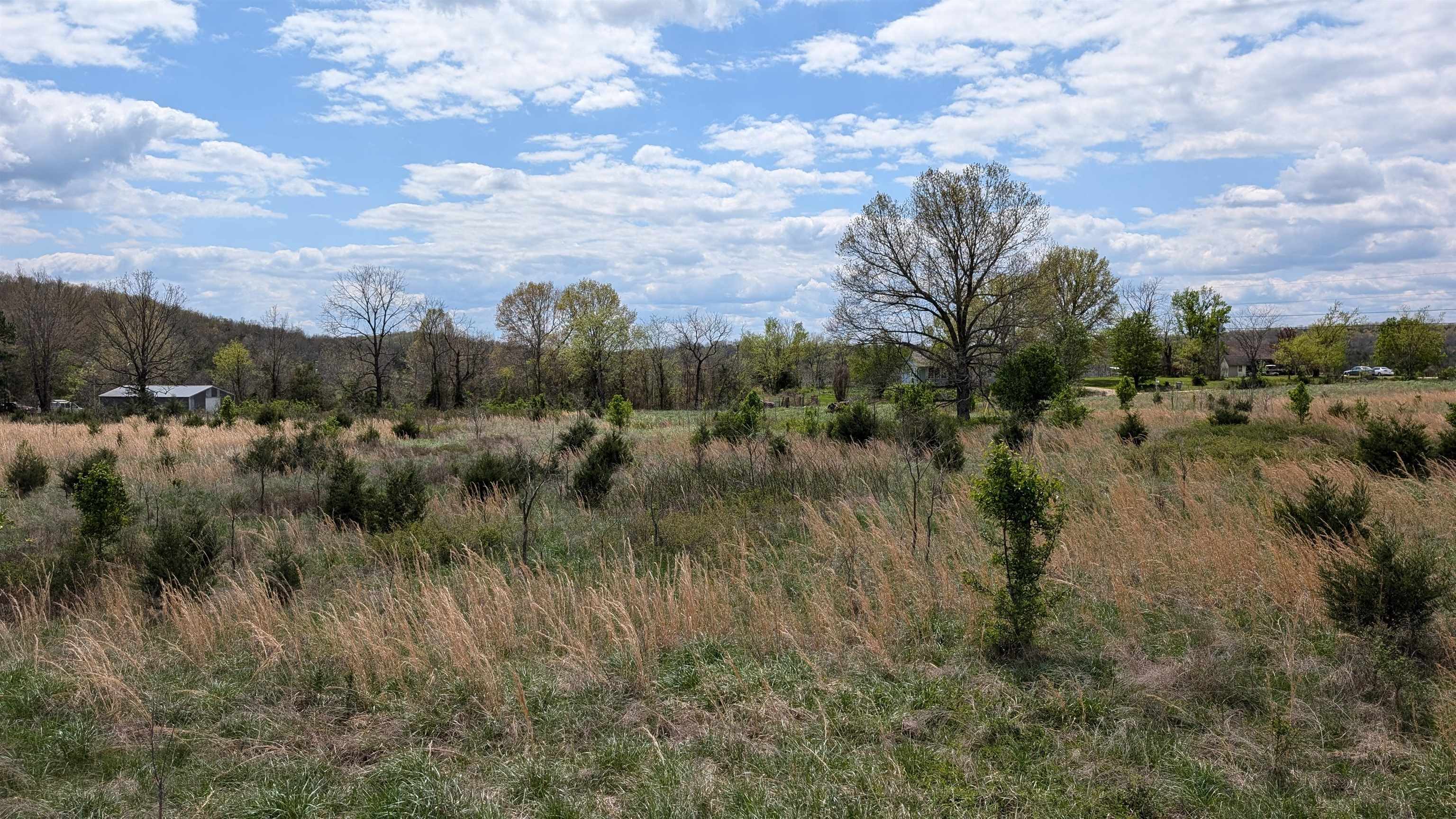 Photo 15 - Vacant Land for sale –   56   Ash Flat, AR