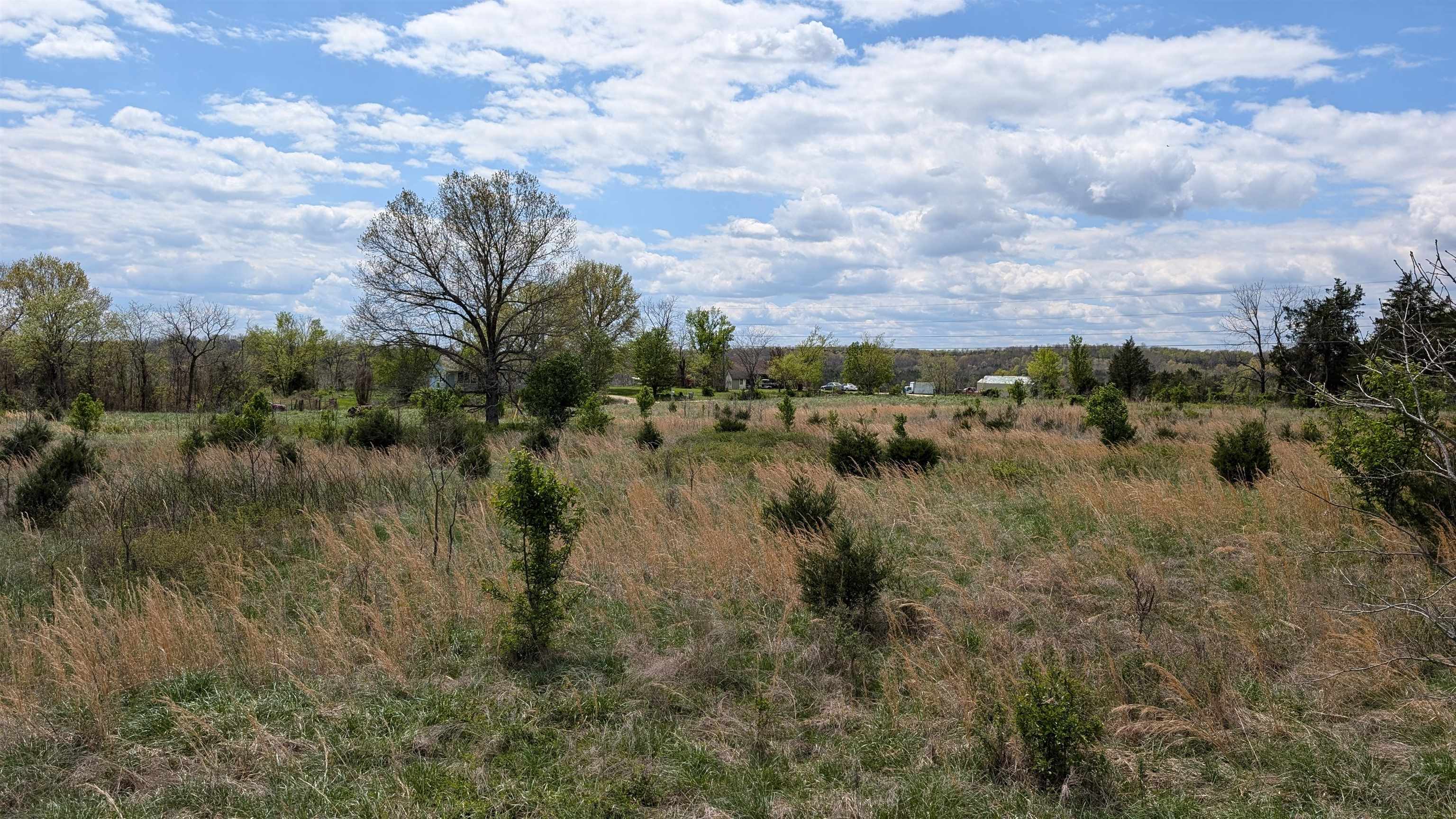 Photo 16 - Vacant Land for sale –   56   Ash Flat, AR