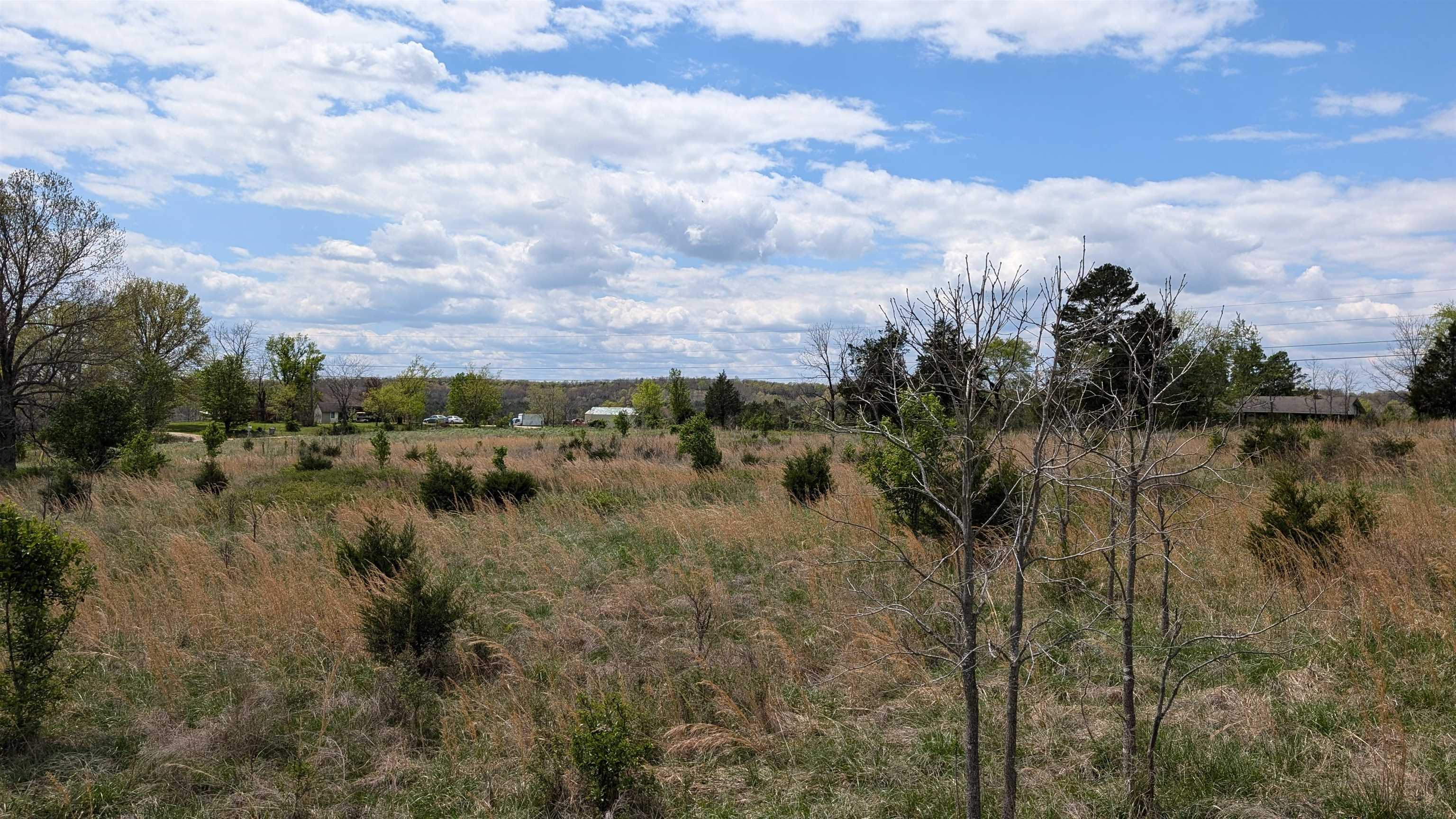 Photo 17 - Vacant Land for sale –   56   Ash Flat, AR