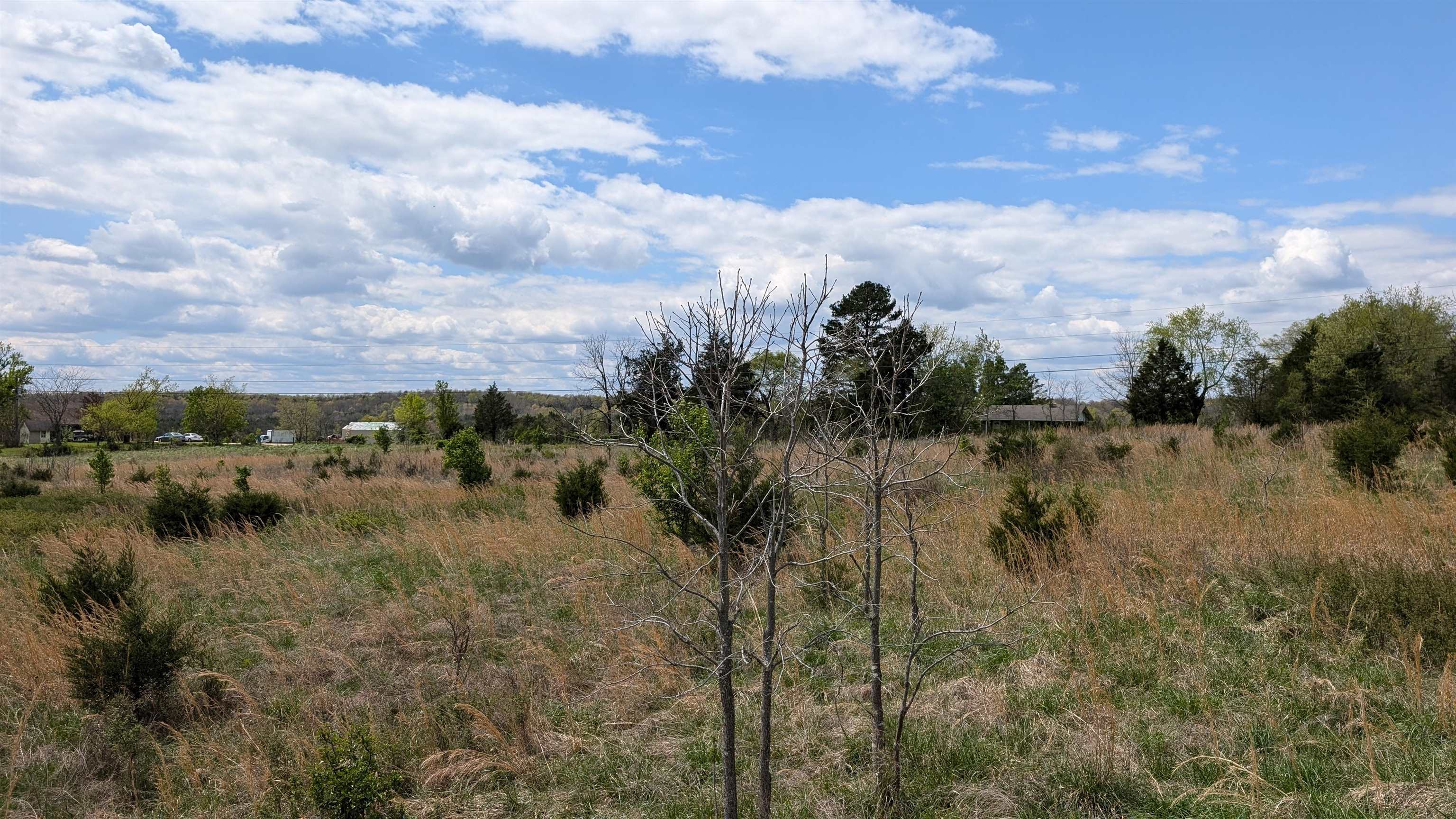 Photo 18 - Vacant Land for sale –   56   Ash Flat, AR