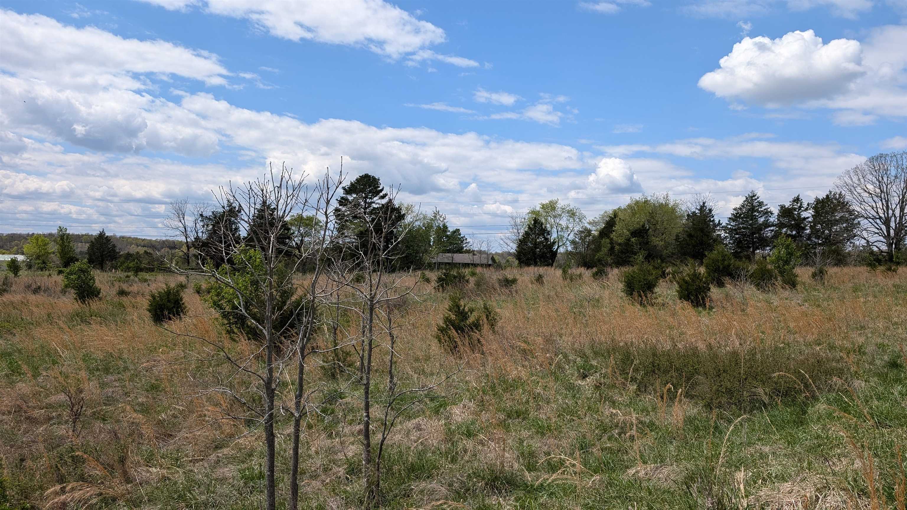 Photo 19 - Vacant Land for sale –   56   Ash Flat, AR