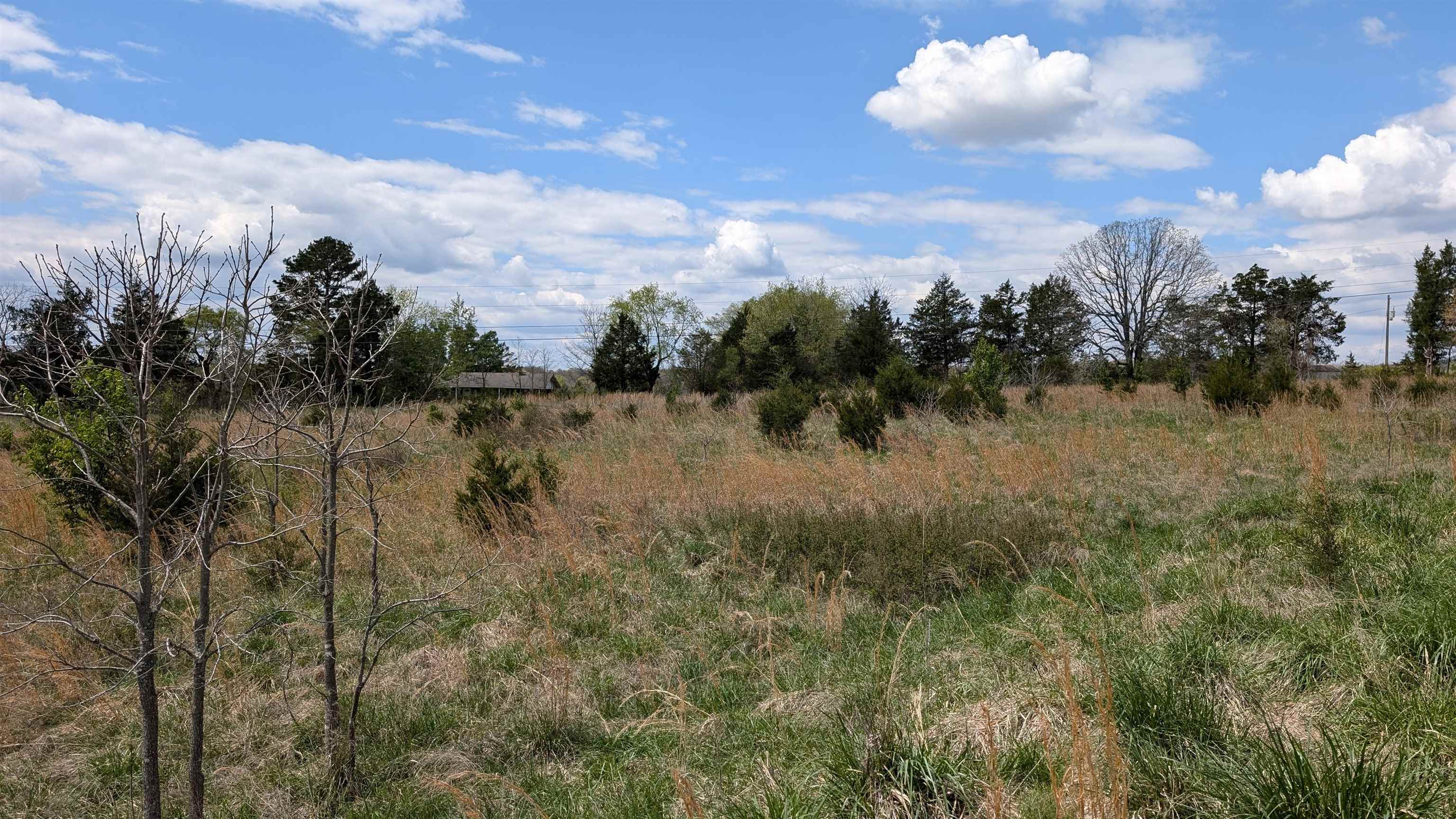 Photo 20 - Vacant Land for sale –   56   Ash Flat, AR