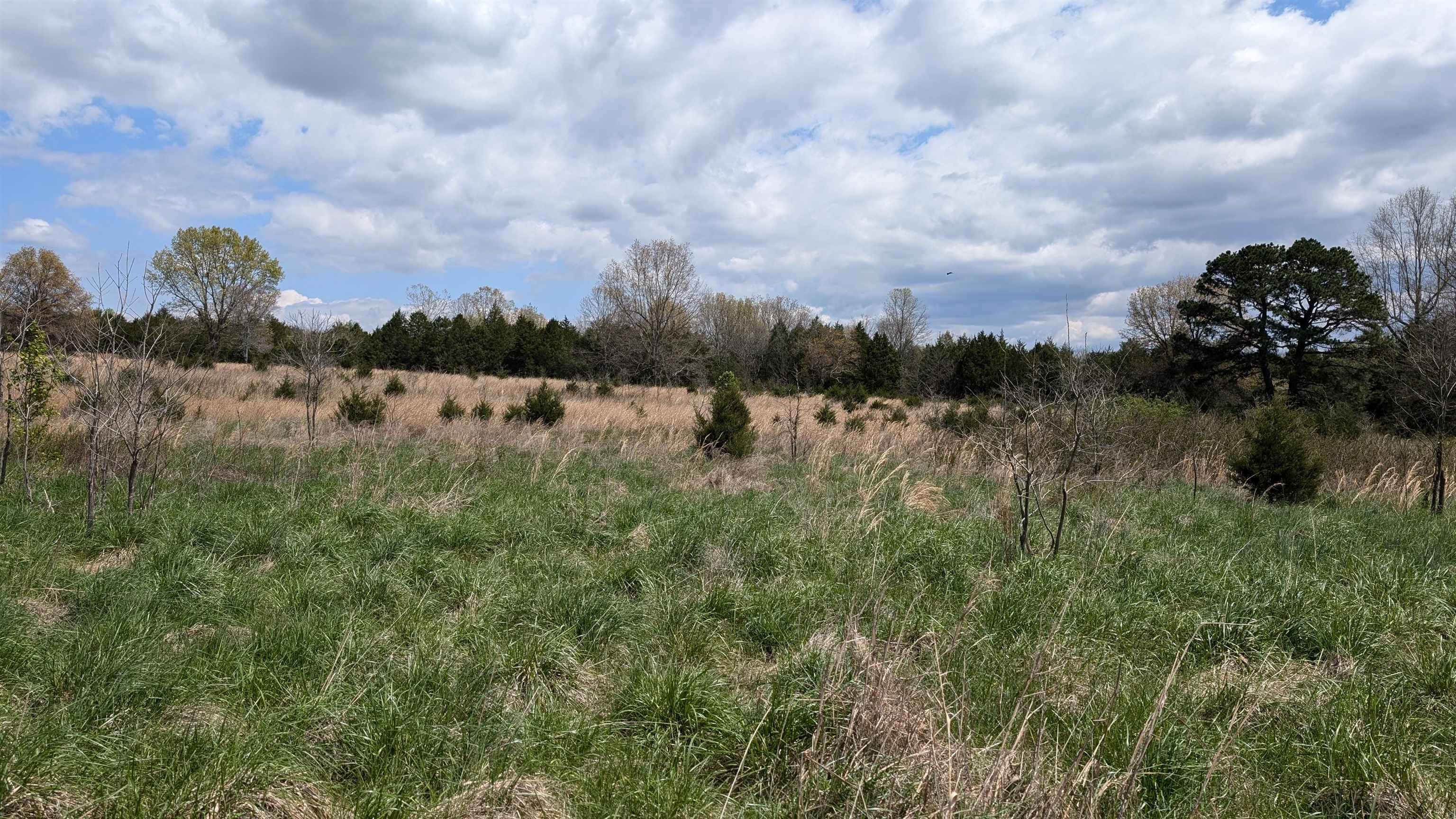 Photo 3 - Vacant Land for sale –   56   Ash Flat, AR