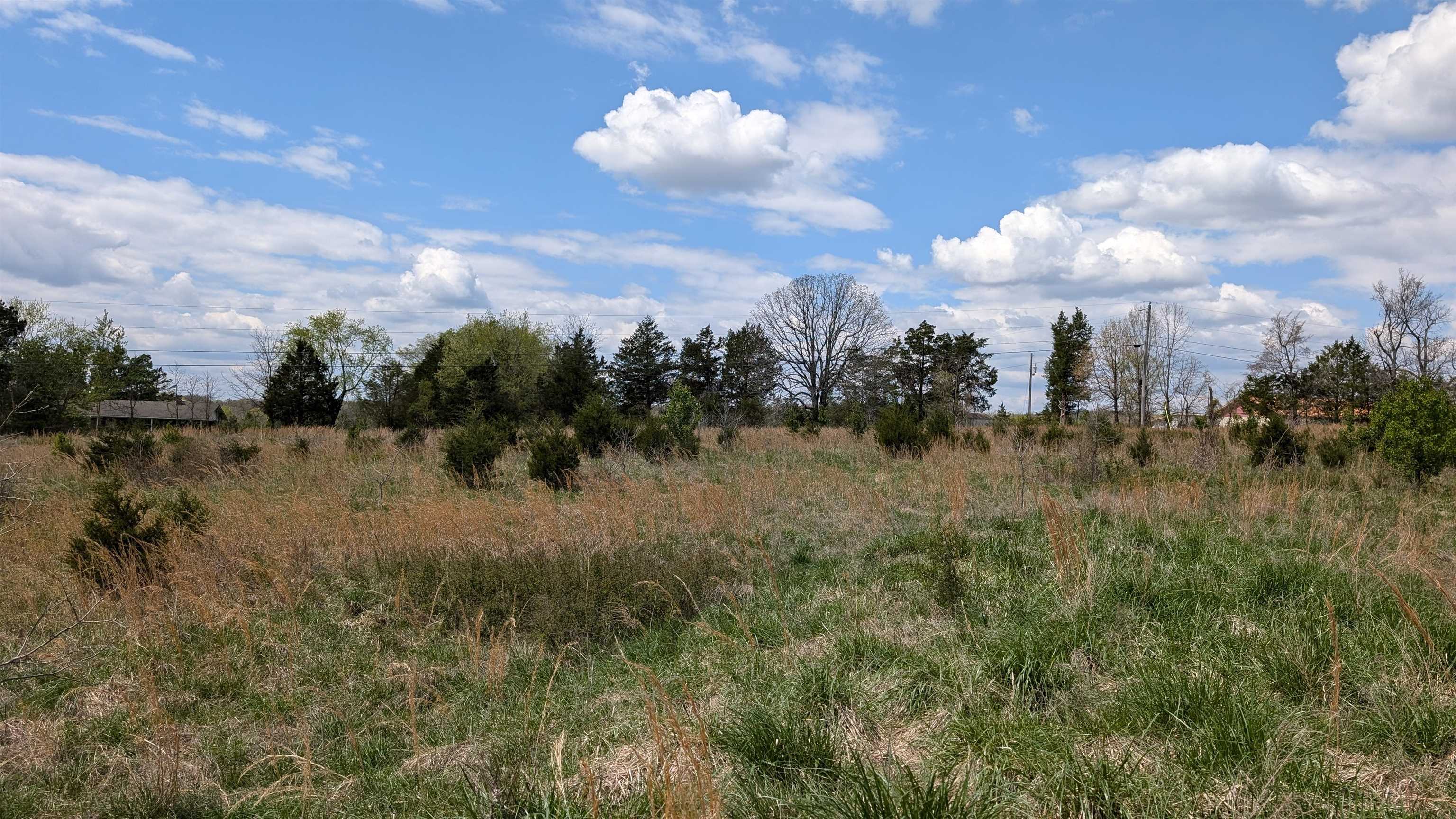 Photo 21 - Vacant Land for sale –   56   Ash Flat, AR