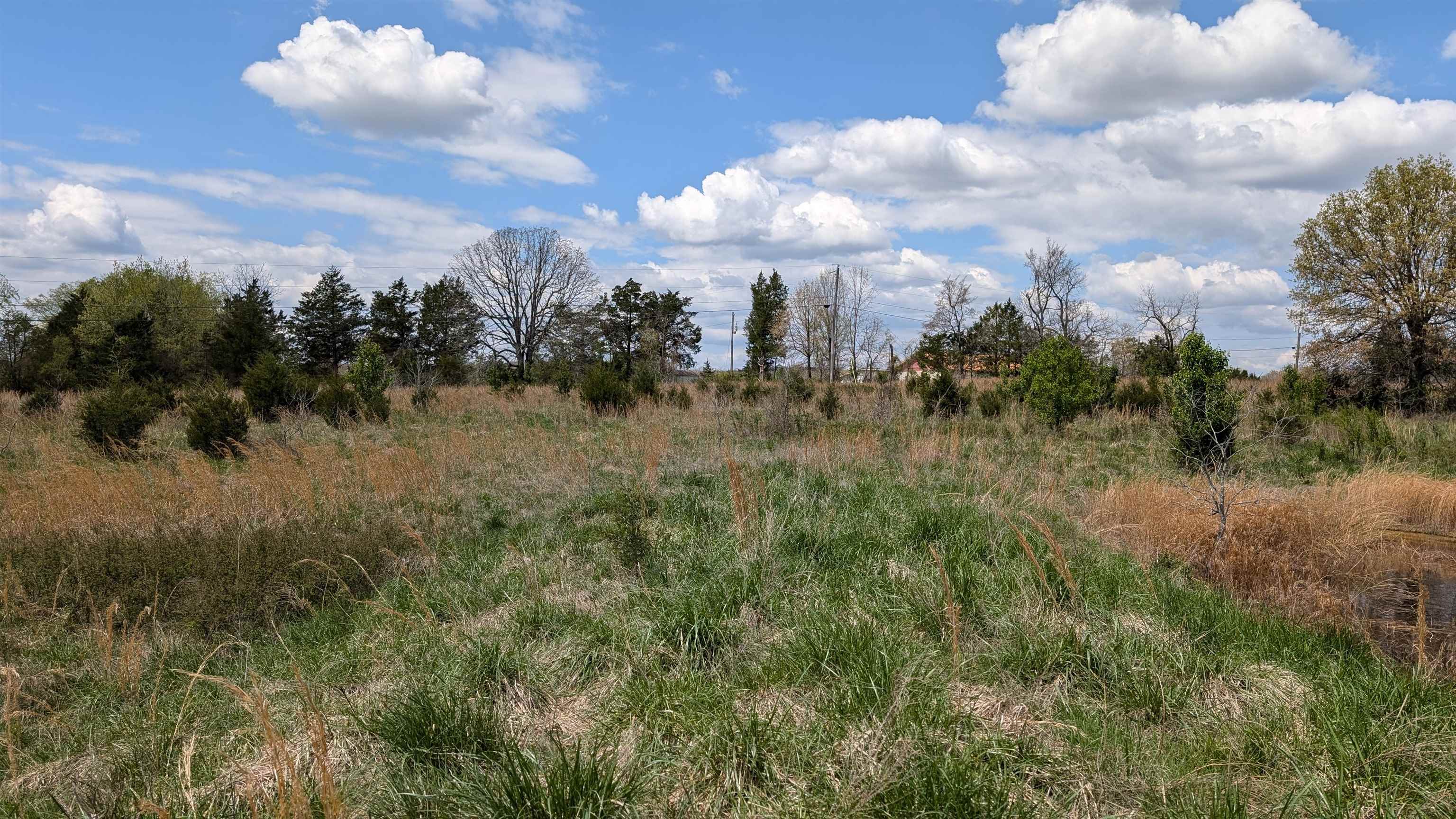 Photo 22 - Vacant Land for sale –   56   Ash Flat, AR