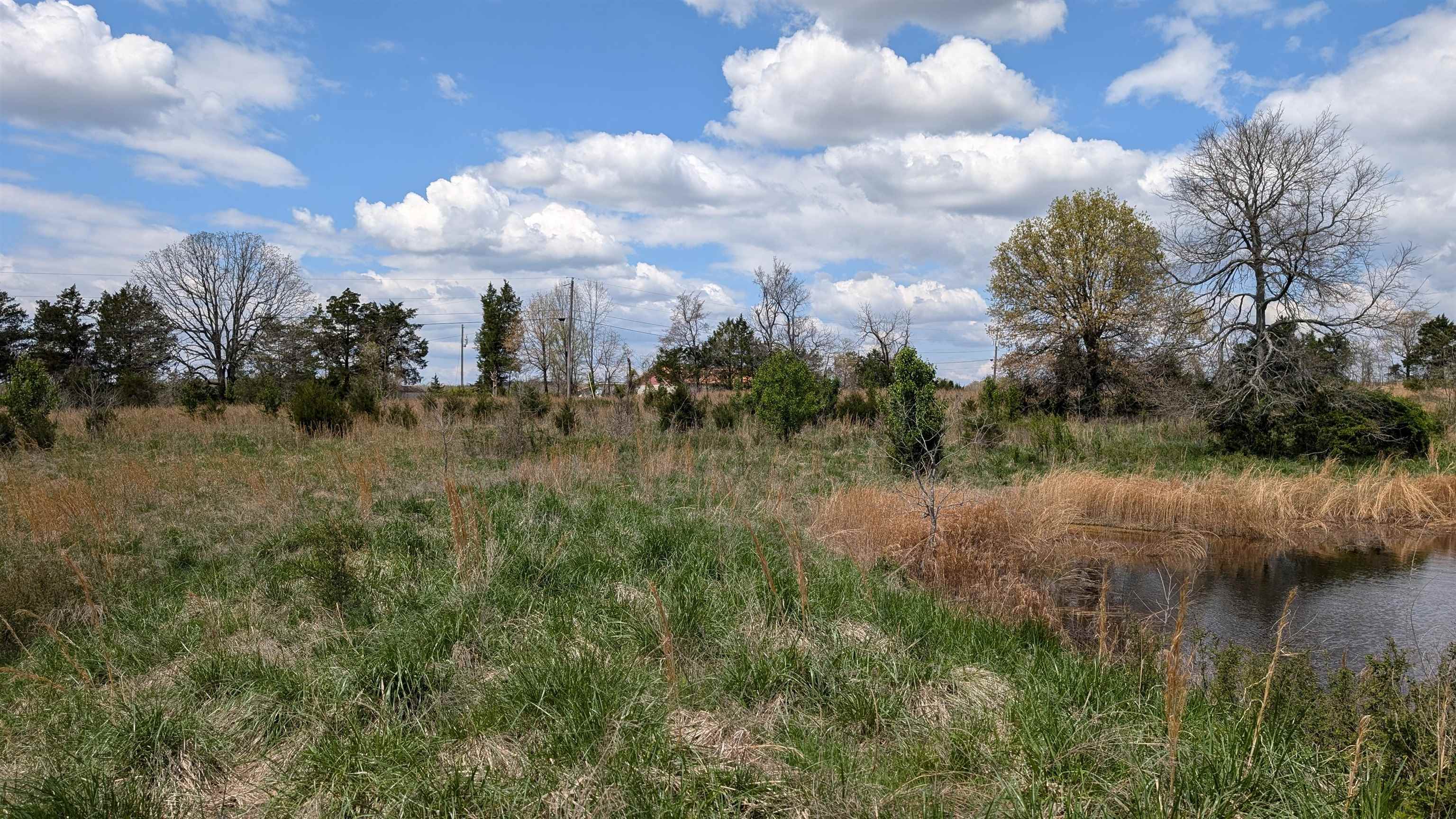 Photo 23 - Vacant Land for sale –   56   Ash Flat, AR