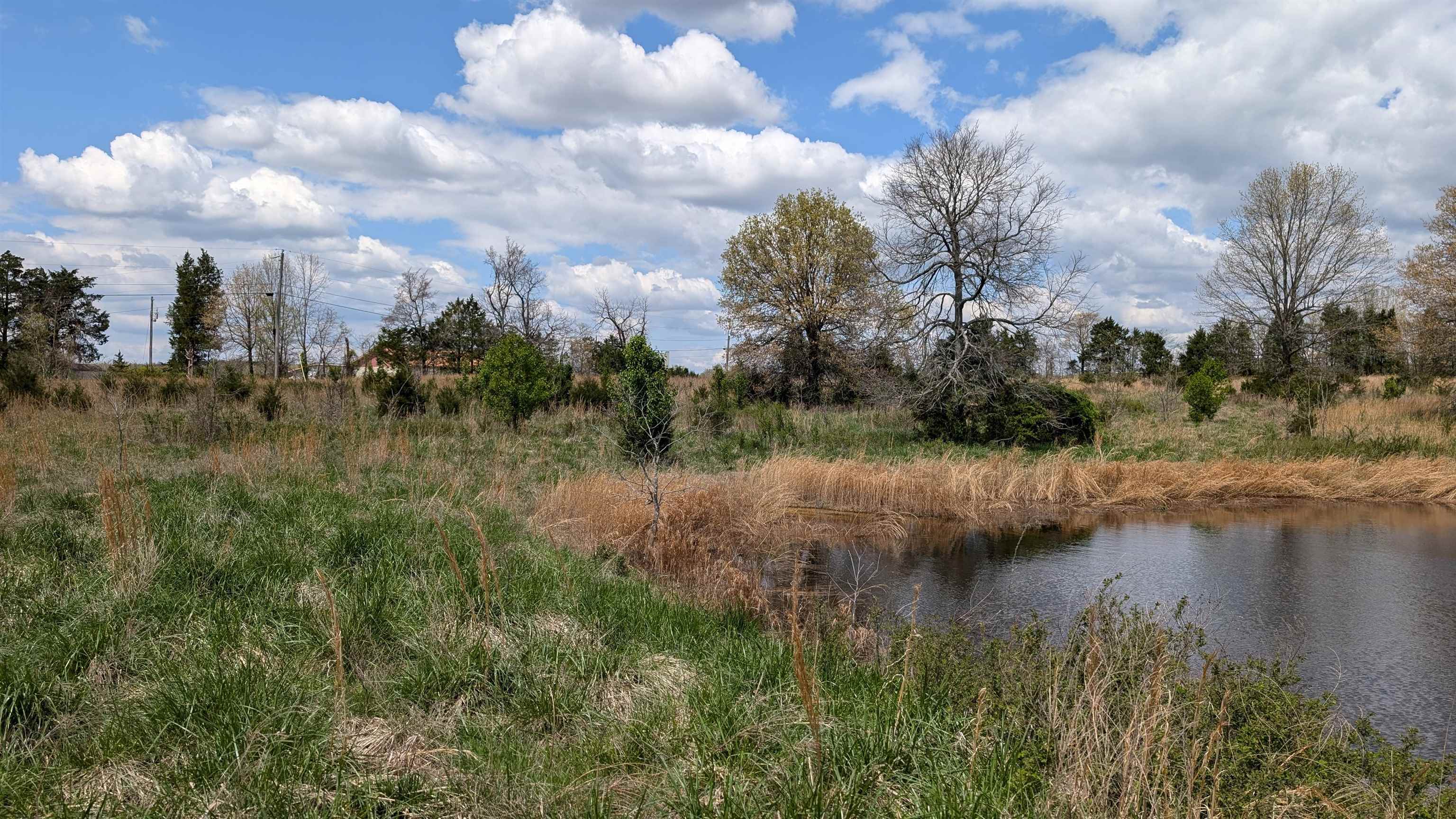 Photo 24 - Vacant Land for sale –   56   Ash Flat, AR
