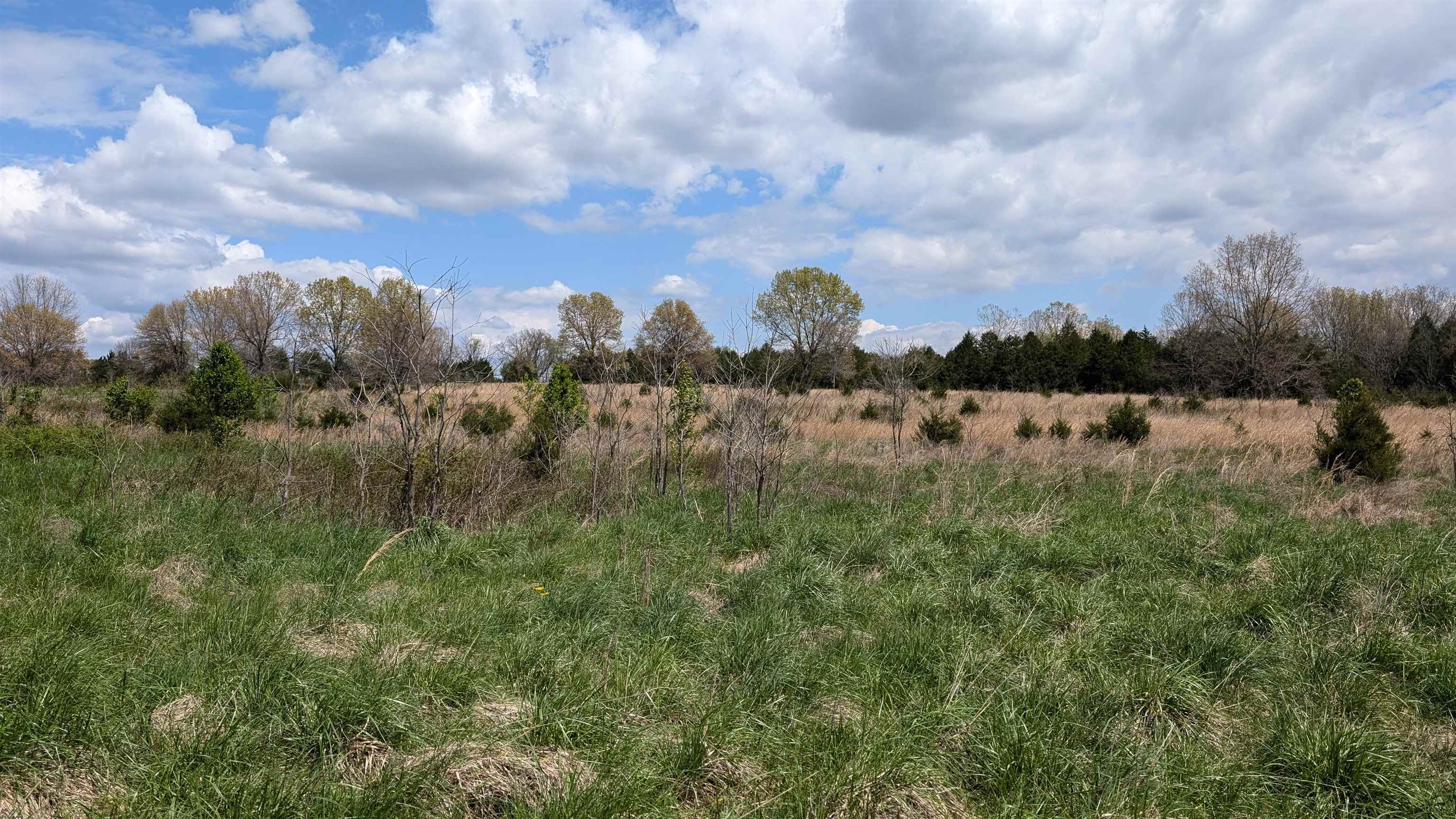Photo 4 - Vacant Land for sale –   56   Ash Flat, AR