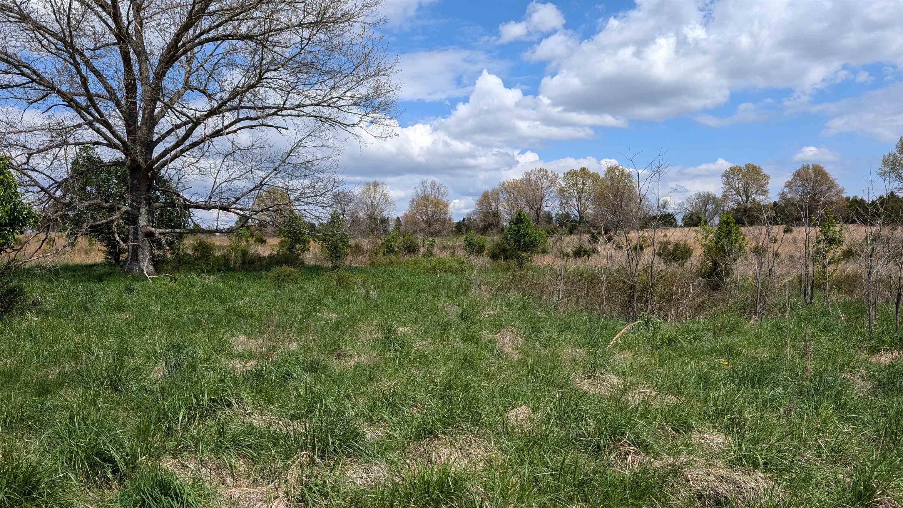 Photo 5 - Vacant Land for sale –   56   Ash Flat, AR