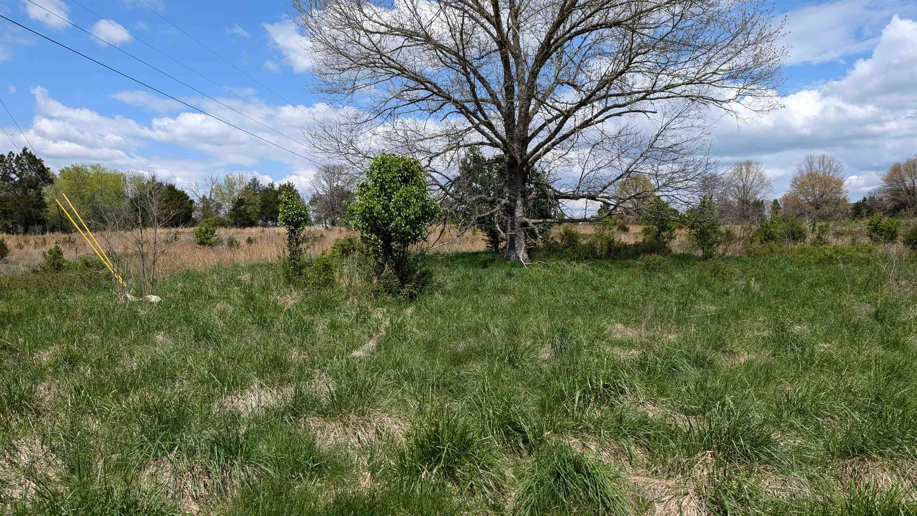 Photo 6 - Vacant Land for sale –   56   Ash Flat, AR
