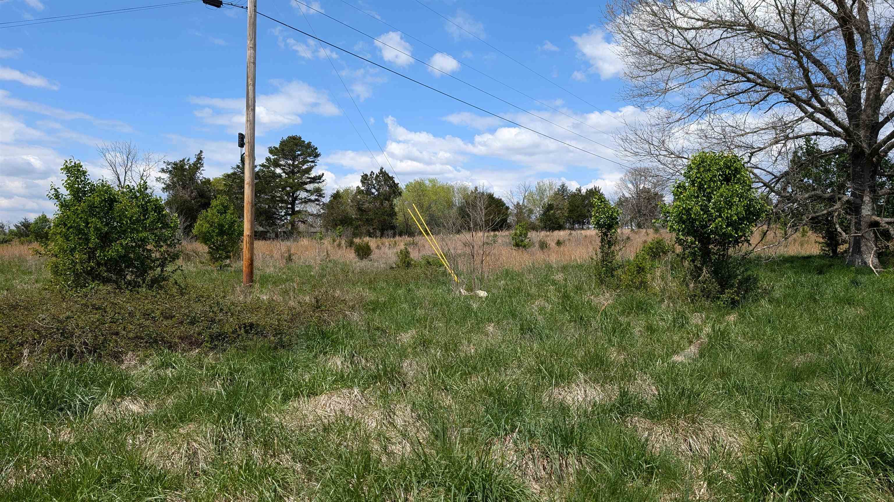 Photo 7 - Vacant Land for sale –   56   Ash Flat, AR