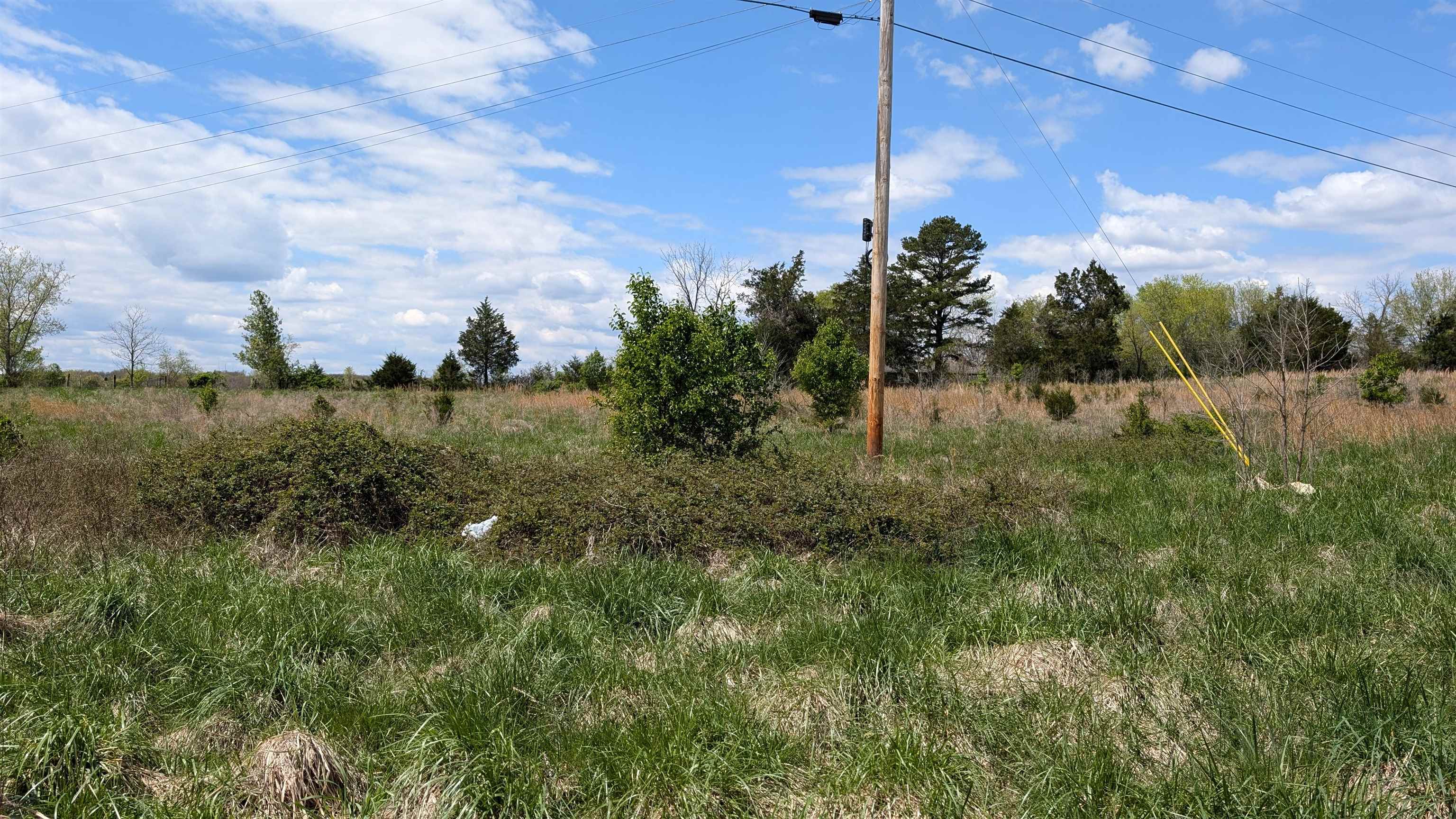 Photo 8 - Vacant Land for sale –   56   Ash Flat, AR