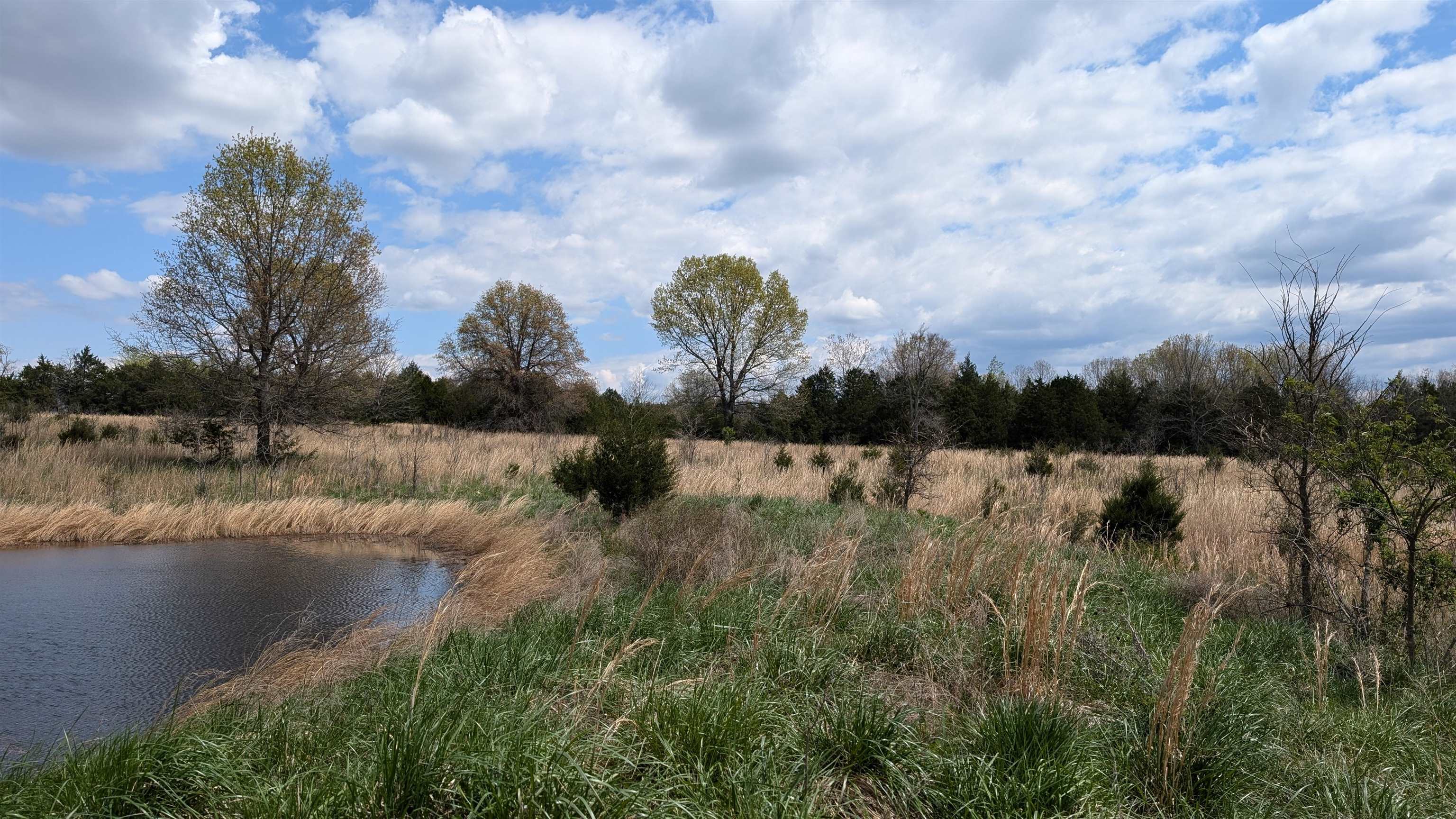 Photo 10 - Vacant Land for sale –   56   Ash Flat, AR