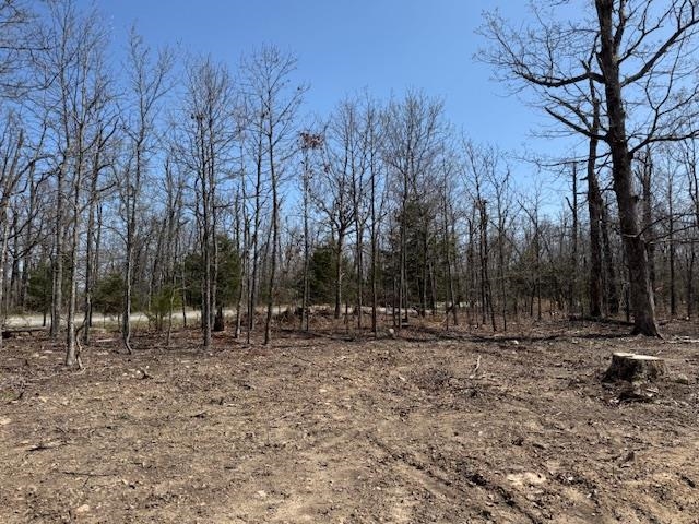 Photo 3 - Vacant Land for sale – 303  Mother Lode Drive   Horseshoe Bend, AR
