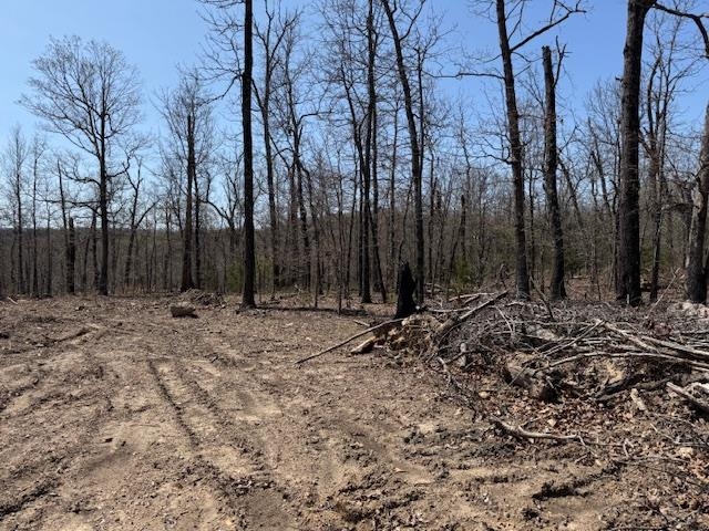 Photo 4 - Vacant Land for sale – 303  Mother Lode Drive   Horseshoe Bend, AR