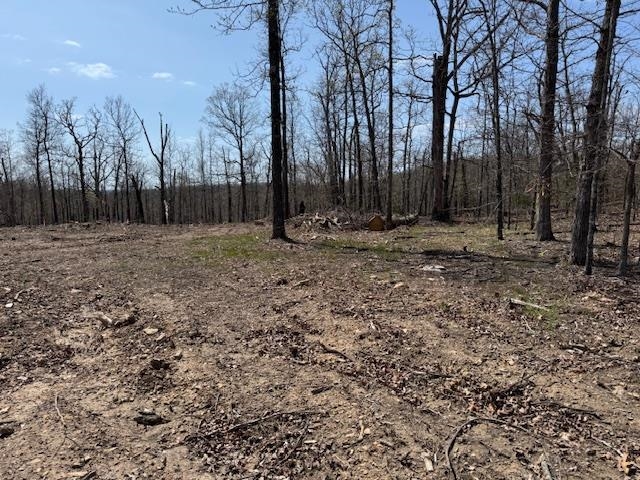 Photo 5 - Vacant Land for sale – 303  Mother Lode Drive   Horseshoe Bend, AR