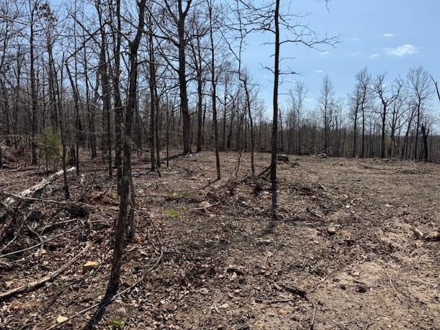 Photo 6 - Vacant Land for sale – 303  Mother Lode Drive   Horseshoe Bend, AR