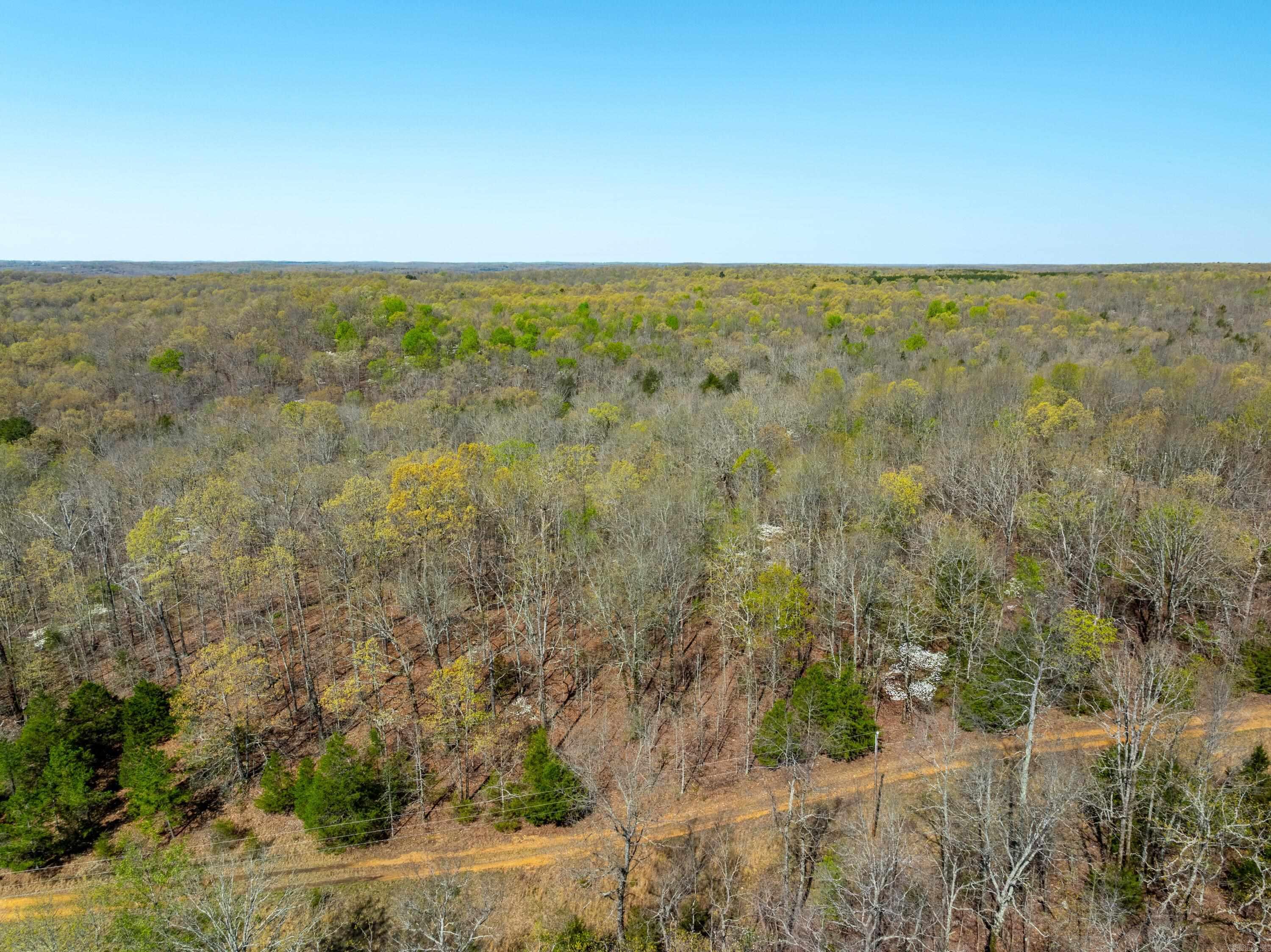 Photo 2 - Vacant Land for sale – 990  Moore Road   Sidney, AR