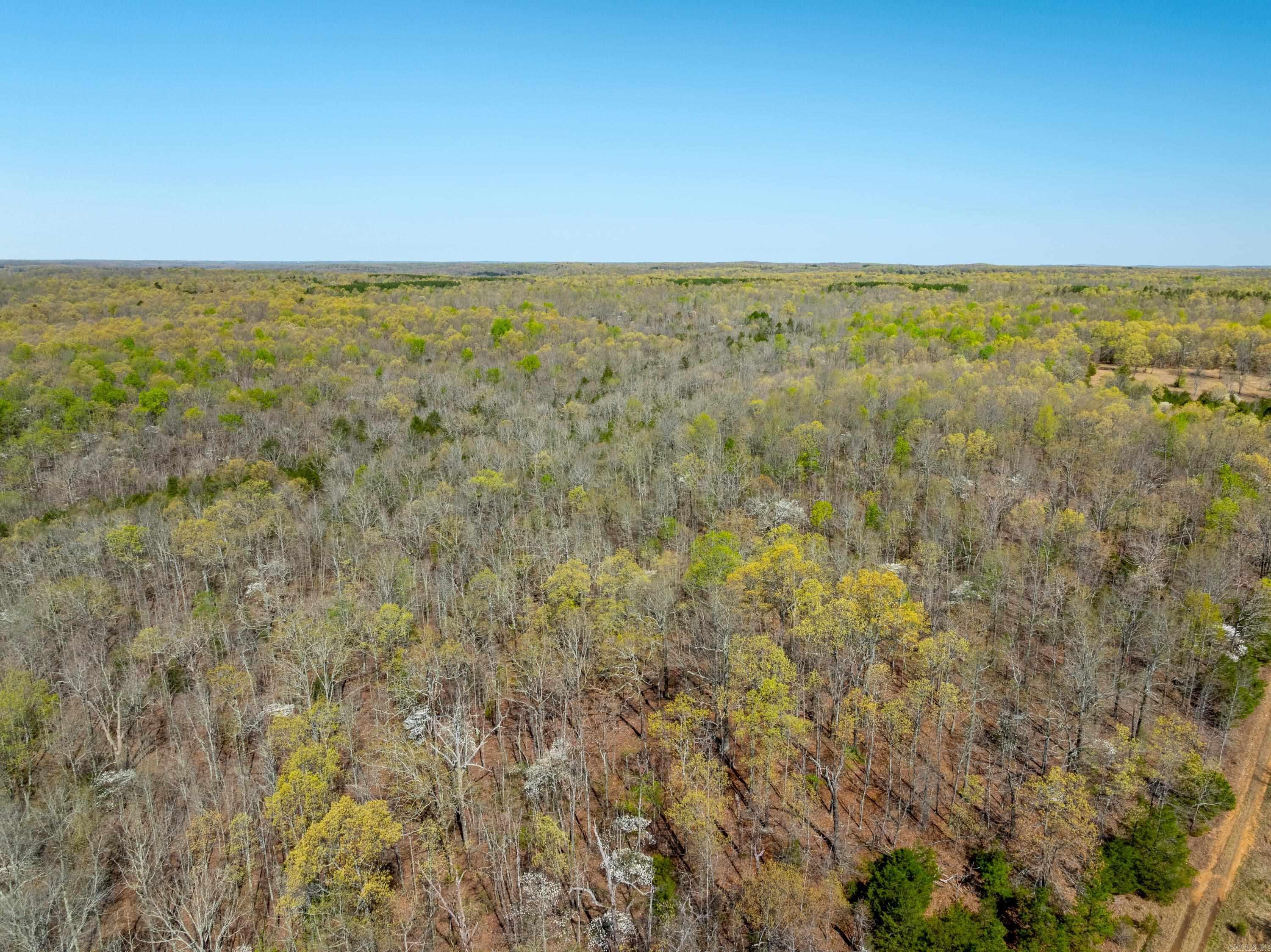 Photo 3 - Vacant Land for sale – 990  Moore Road   Sidney, AR