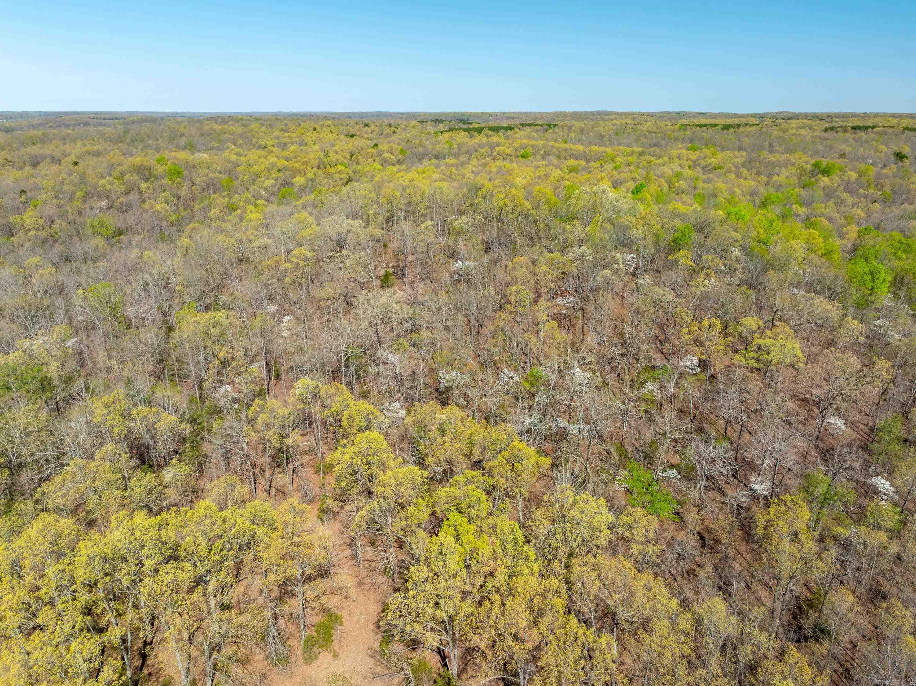 Photo 4 - Vacant Land for sale – 990  Moore Road   Sidney, AR