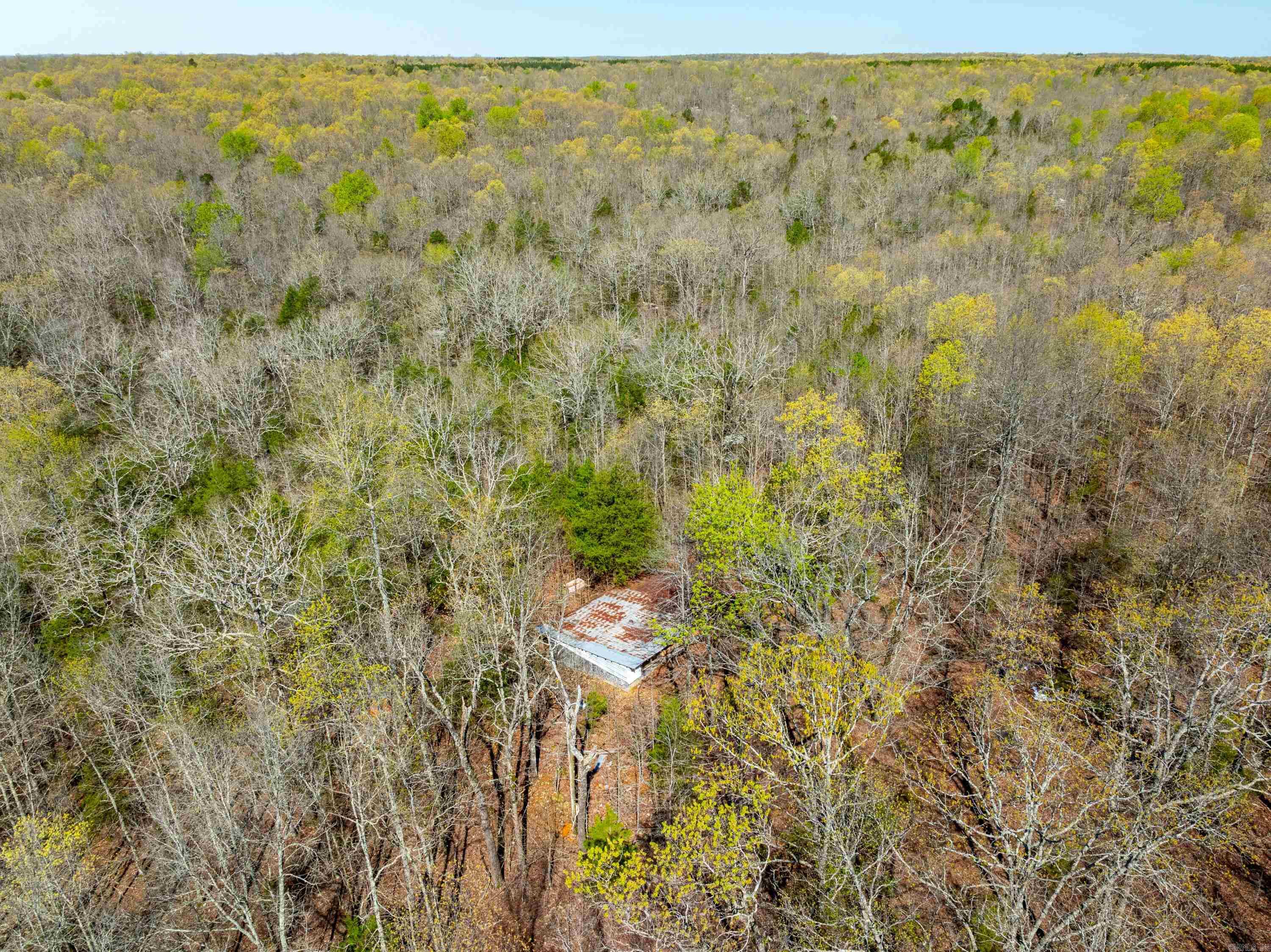 Photo 5 - Vacant Land for sale – 990  Moore Road   Sidney, AR