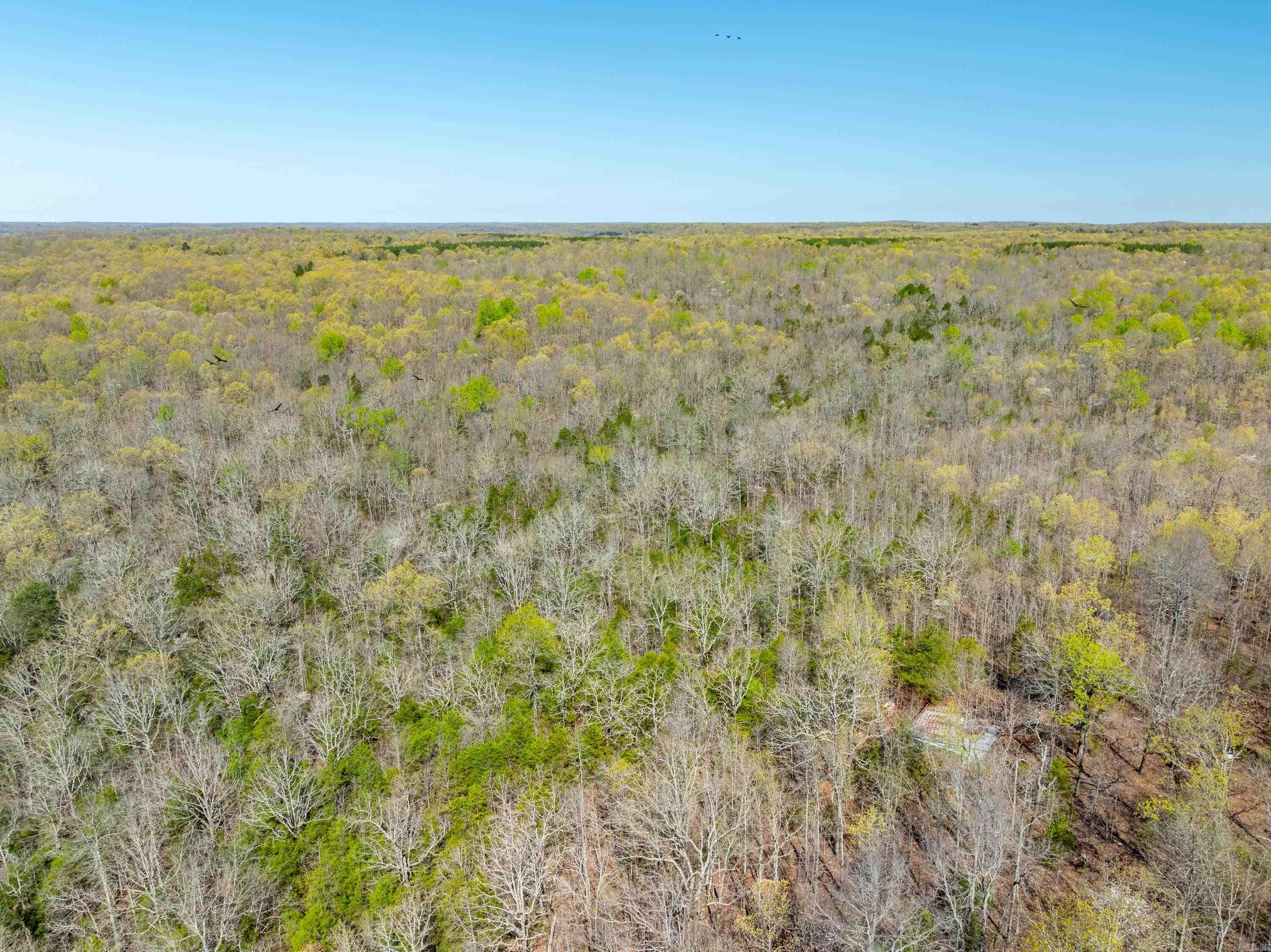 Photo 6 - Vacant Land for sale – 990  Moore Road   Sidney, AR