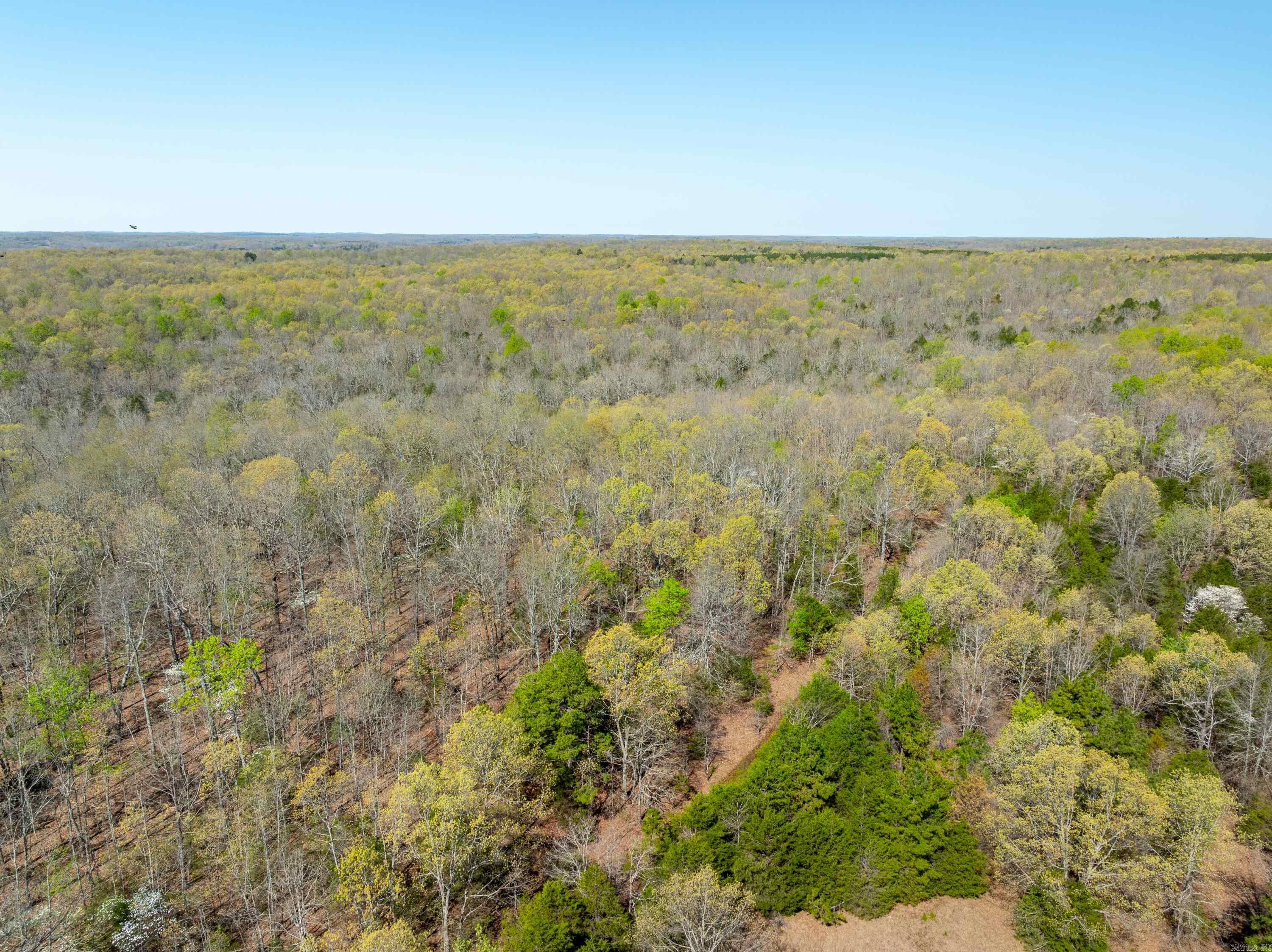 Photo 7 - Vacant Land for sale – 990  Moore Road   Sidney, AR