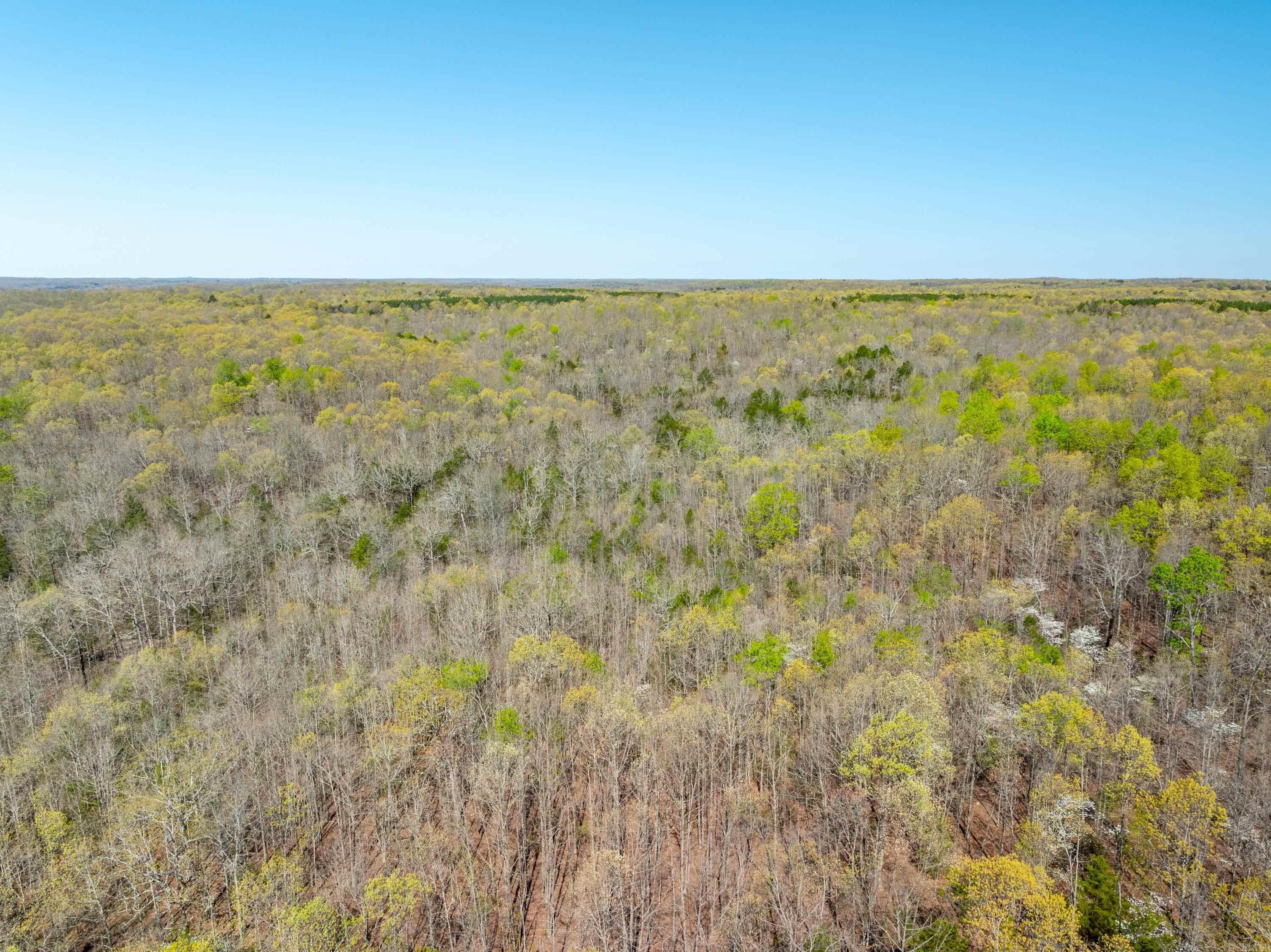 Photo 8 - Vacant Land for sale – 990  Moore Road   Sidney, AR