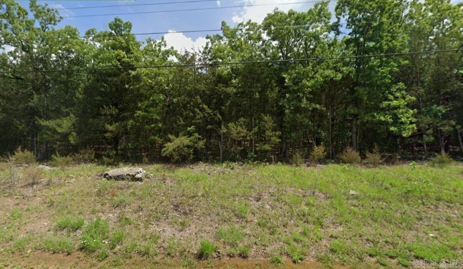Photo 4 - Vacant Land for sale – 603  Profession   Horseshoe Bend, AR
