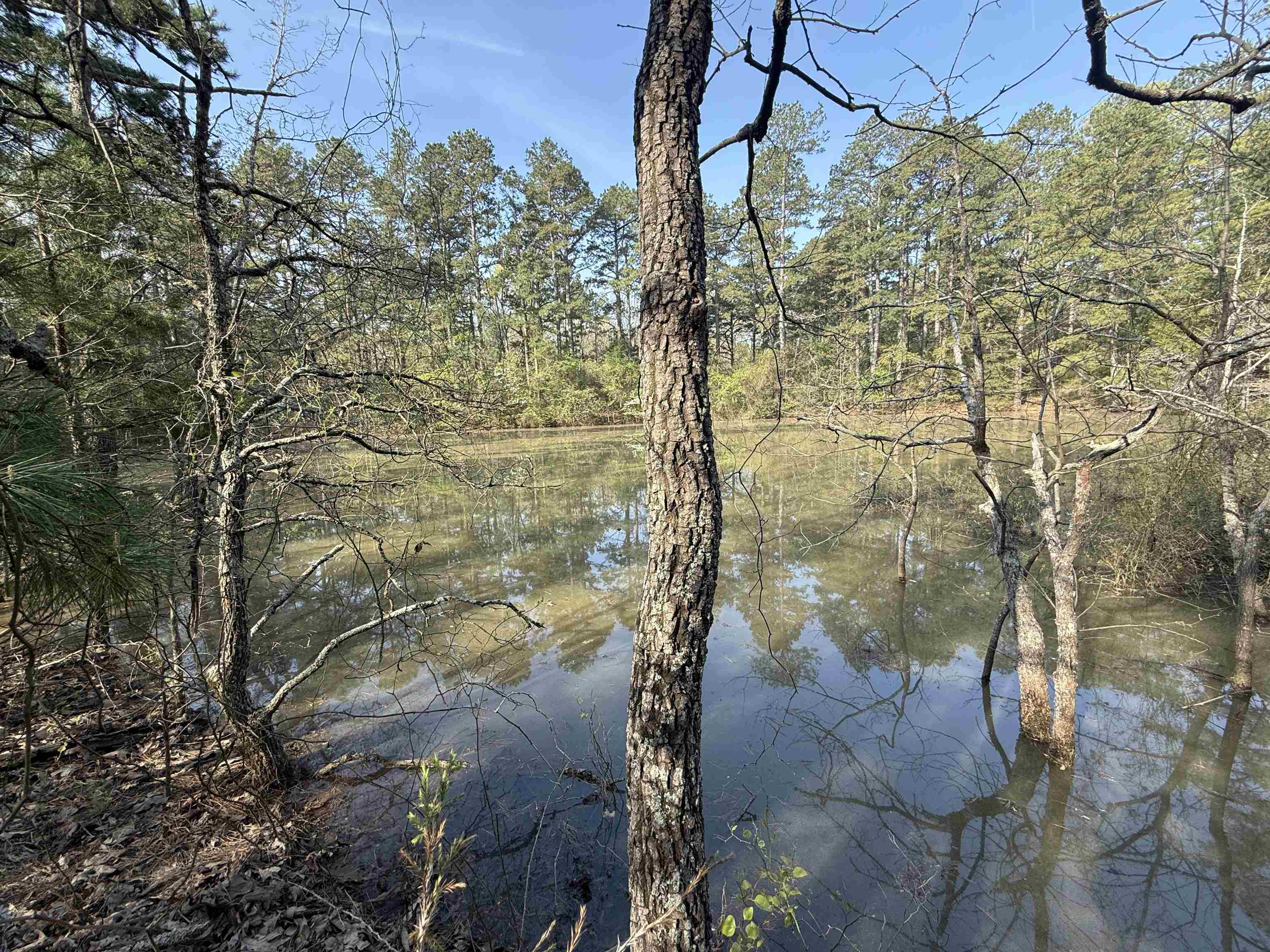 Photo 2 - Vacant Land for sale – 1314  Shoemaker Road   Violet Hill, AR