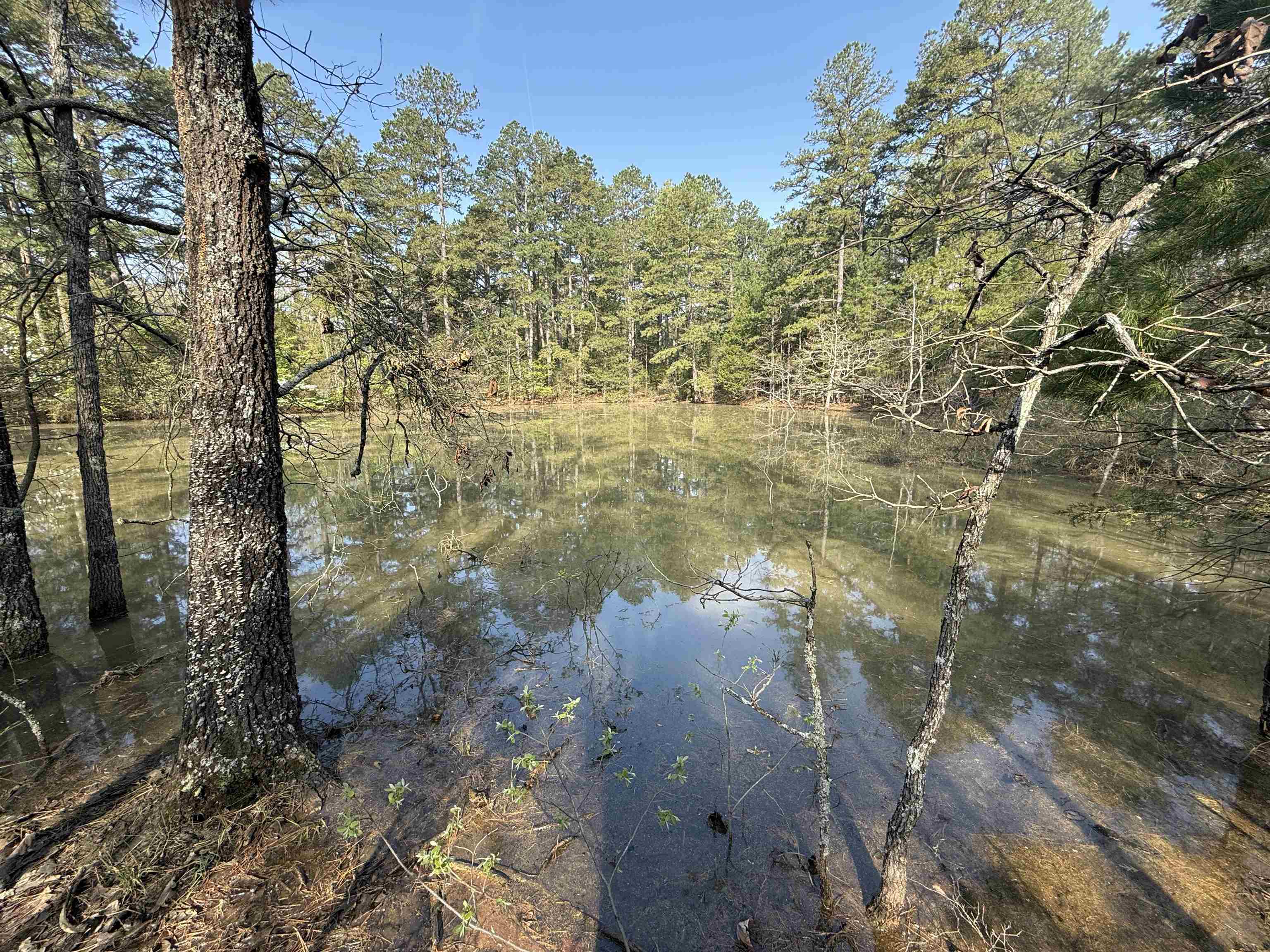 Photo 3 - Vacant Land for sale – 1314  Shoemaker Road   Violet Hill, AR