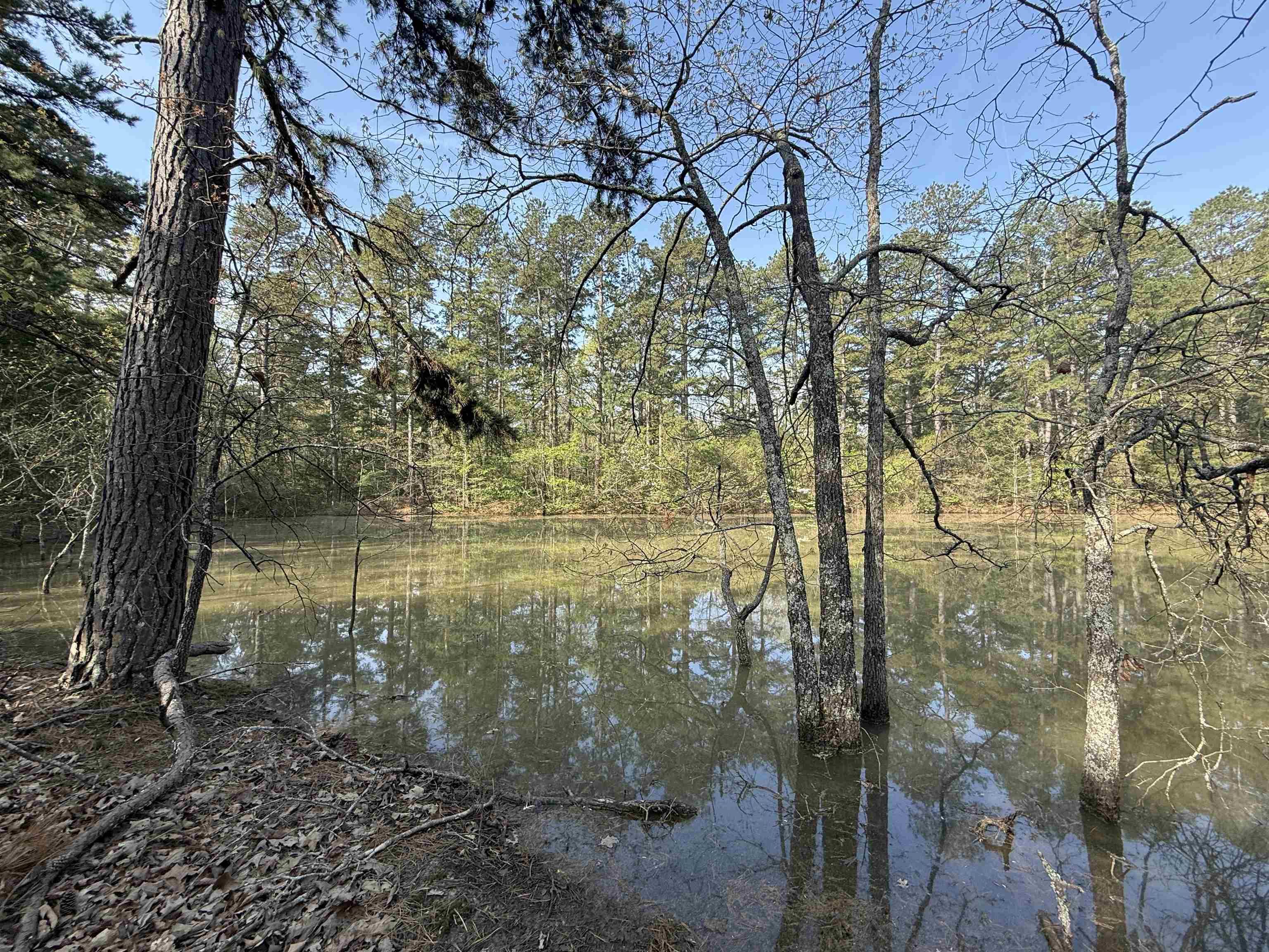 Photo 4 - Vacant Land for sale – 1314  Shoemaker Road   Violet Hill, AR