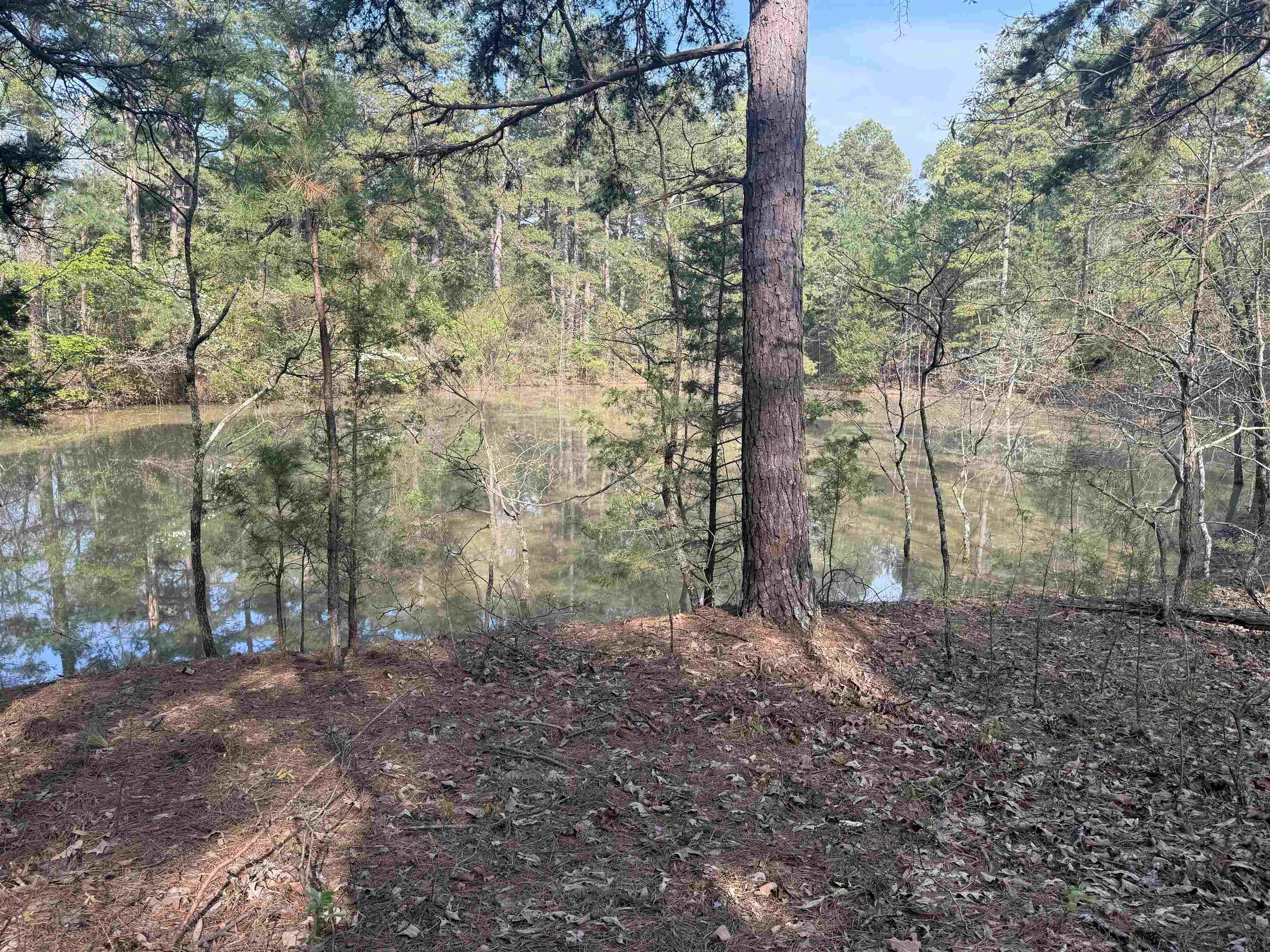Photo 5 - Vacant Land for sale – 1314  Shoemaker Road   Violet Hill, AR