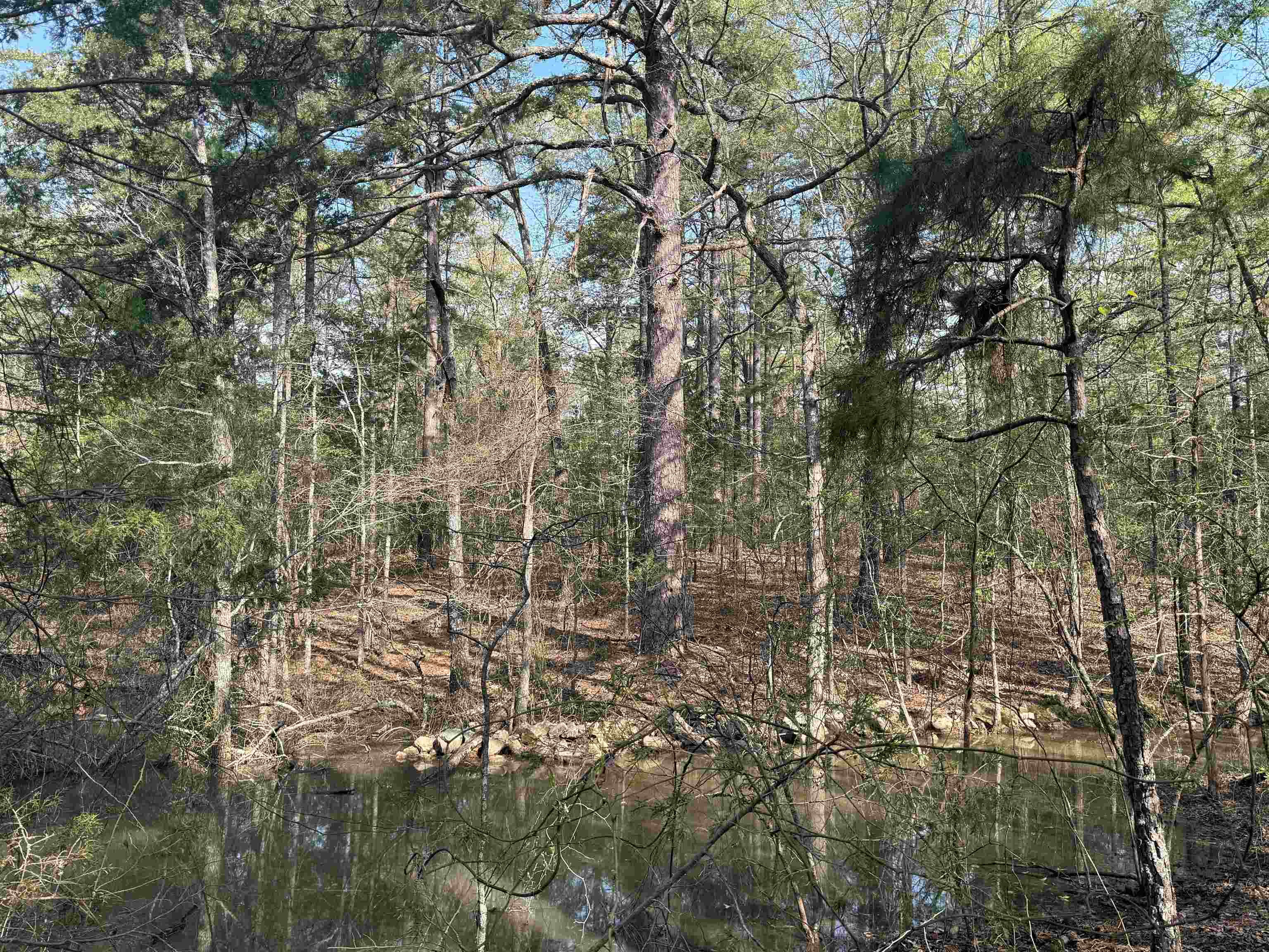Photo 6 - Vacant Land for sale – 1314  Shoemaker Road   Violet Hill, AR